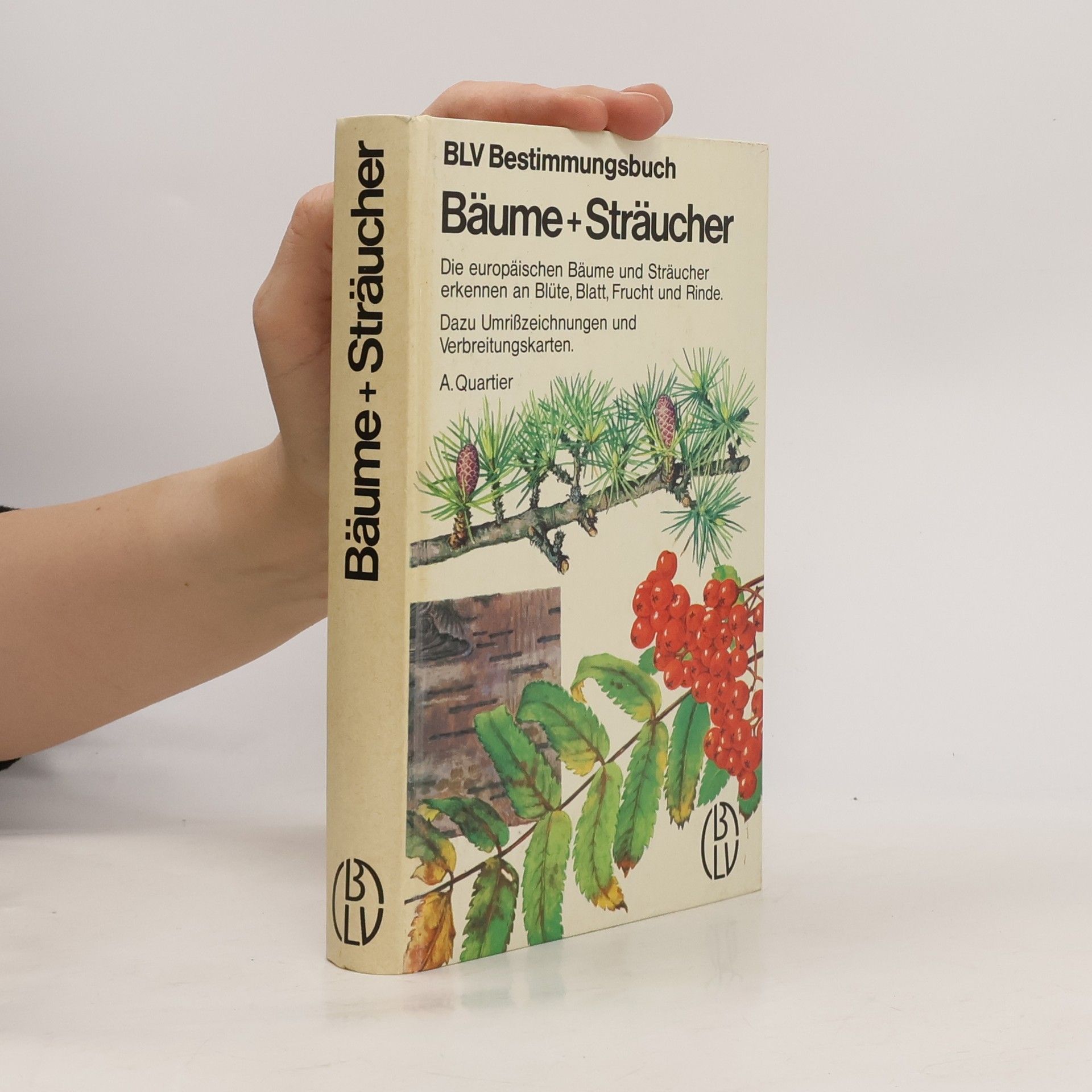 Archibald Quartier Bäume + [und] Sträucher