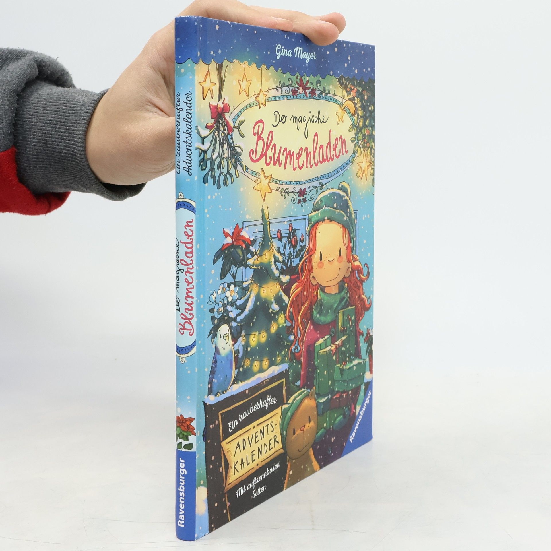 Gina Mayer Der magische Blumenladen - ein zauberhafter Adventskalender