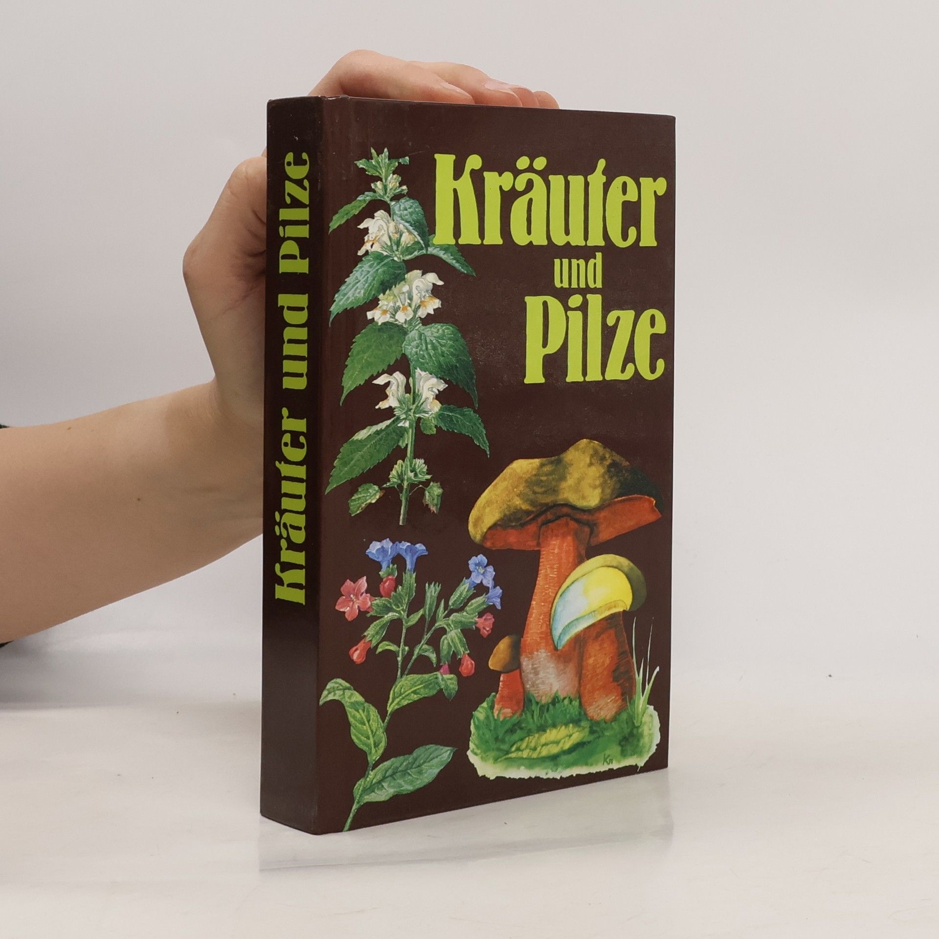 Autorenkollektiv Kräuter und Pilze