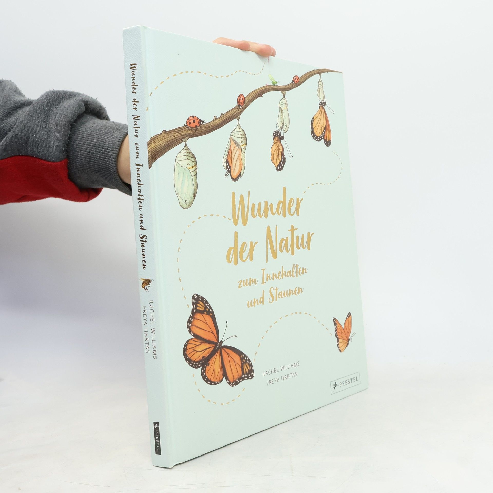 Freya Hartas Wunder der Natur zum Innehalten und Staunen