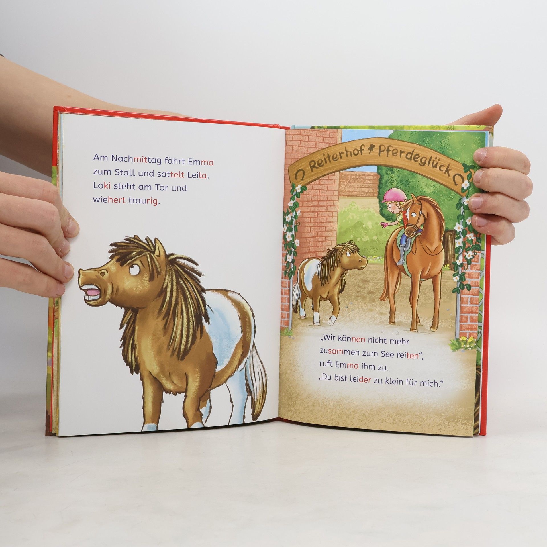 Sabine Giebken Leselöwen 1. Klasse - Eine ponystarke Freundschaft