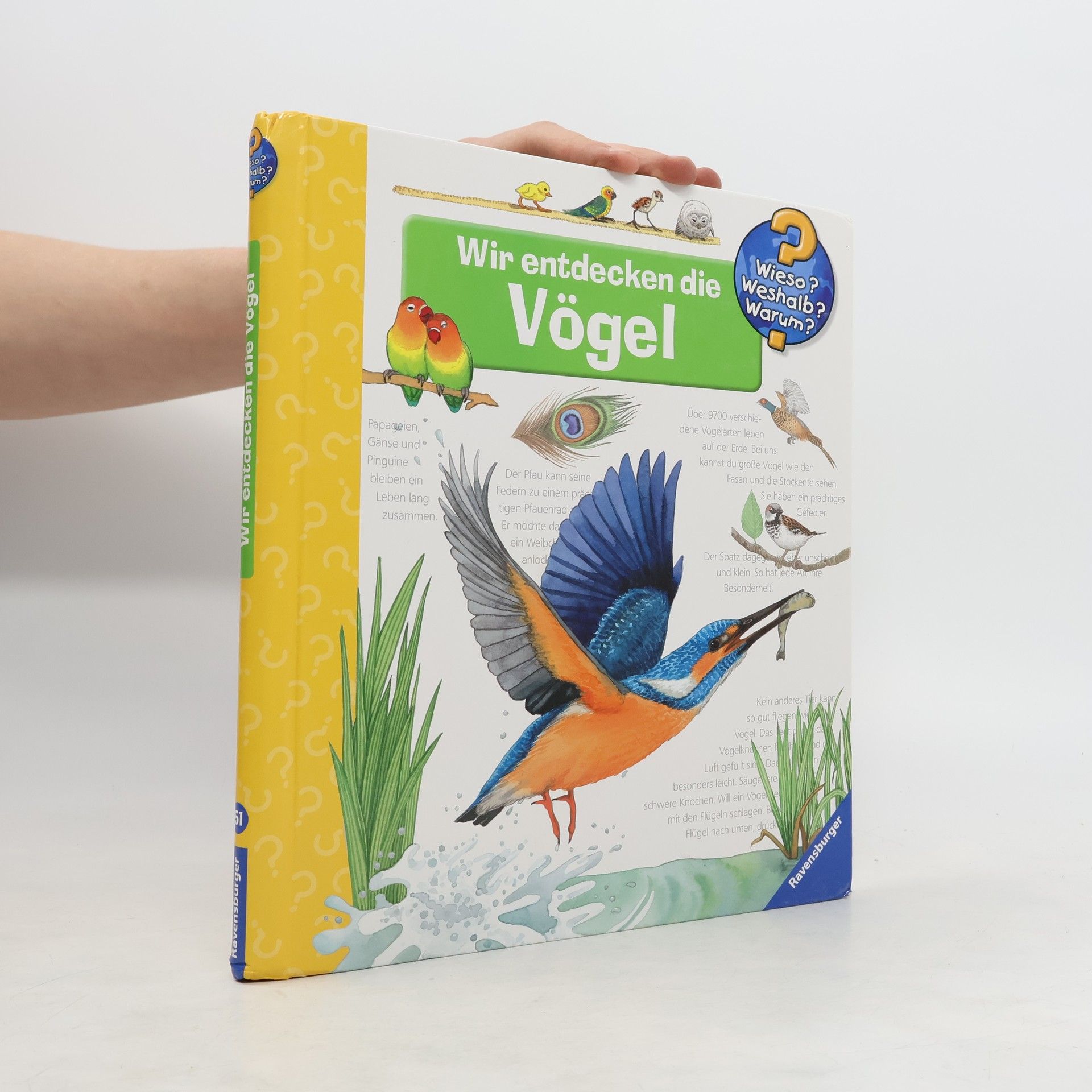 Wir entdecken die Vögel