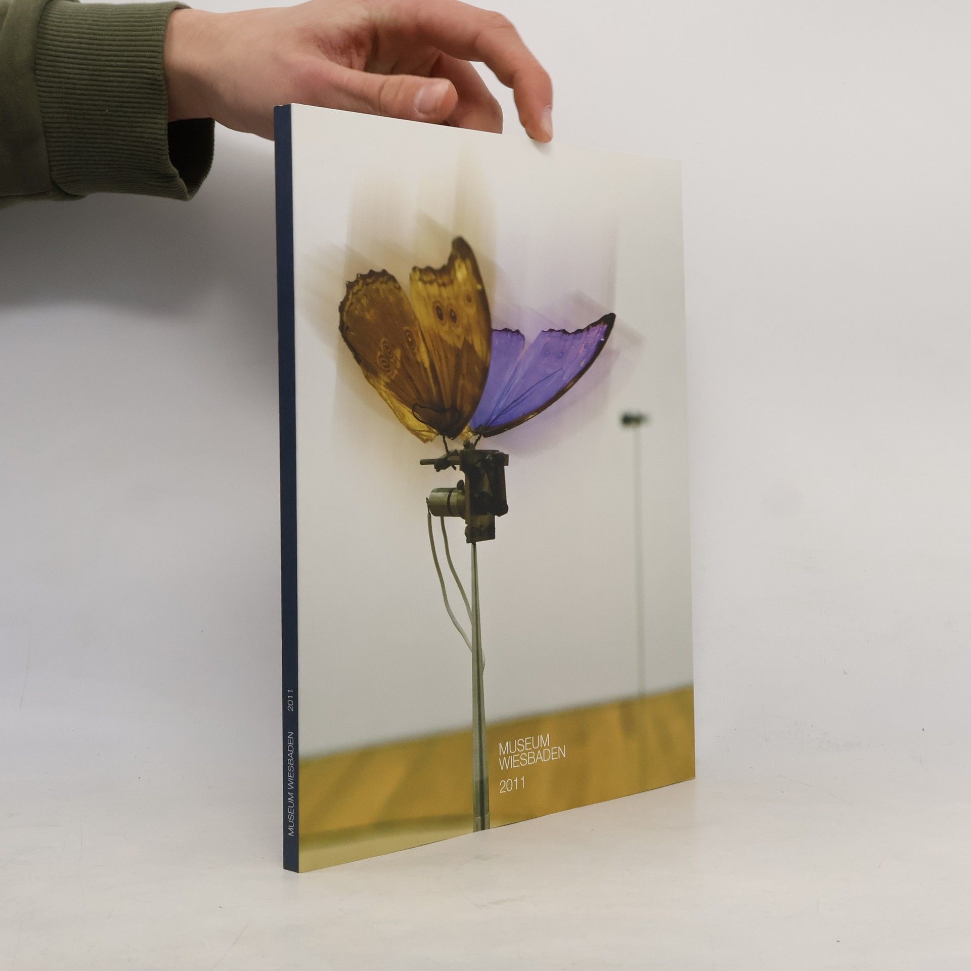 Alexander Klar Museum Wiesbaden 2011