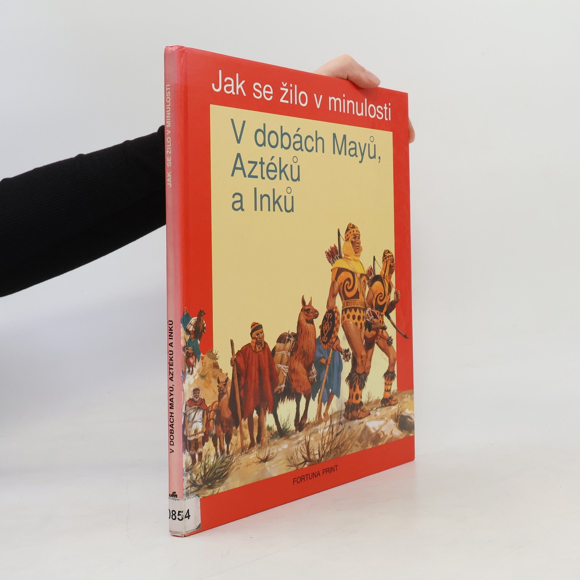 Louis René Nougier V dobách Mayů, Aztéků a Inků