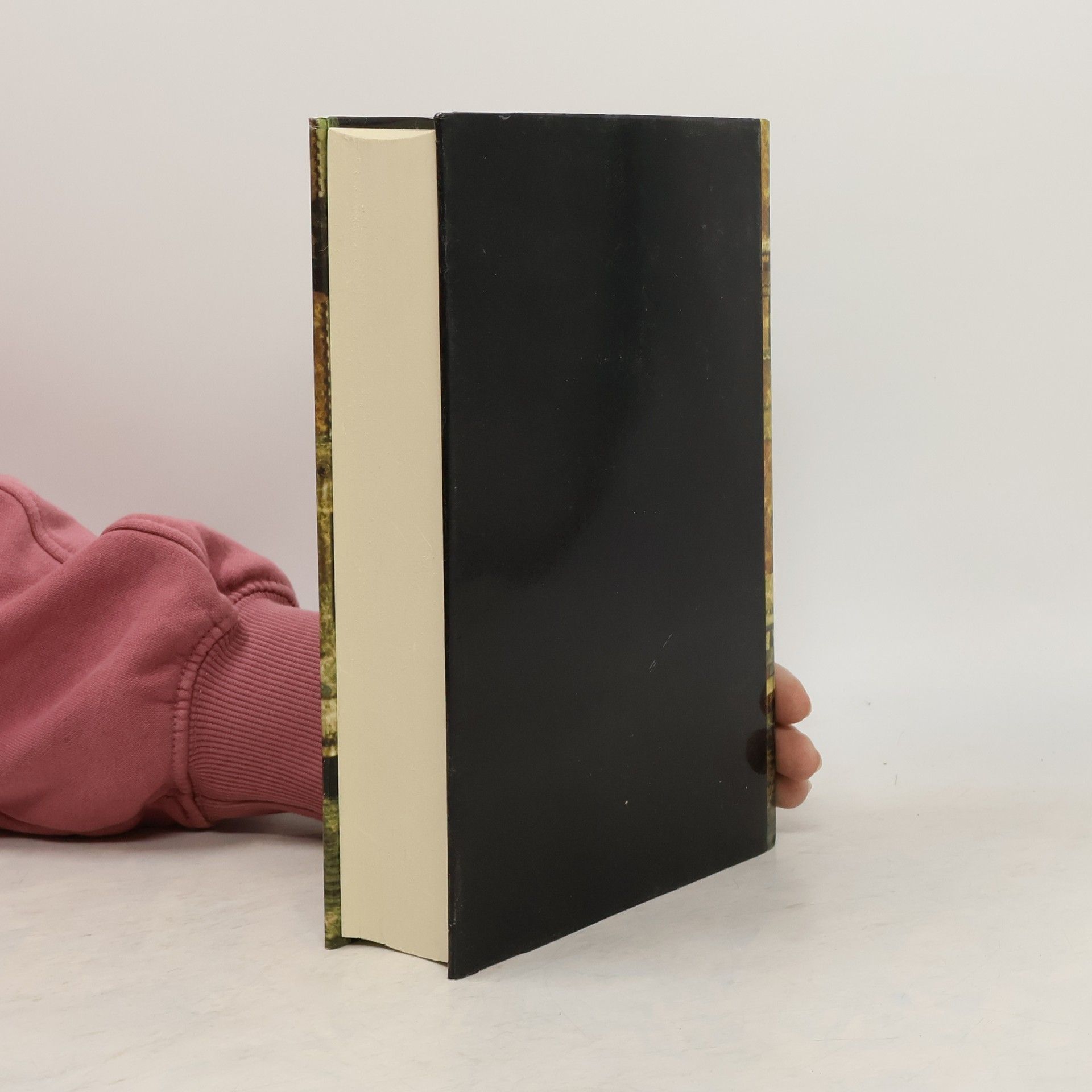 Hans Habe Palazzo