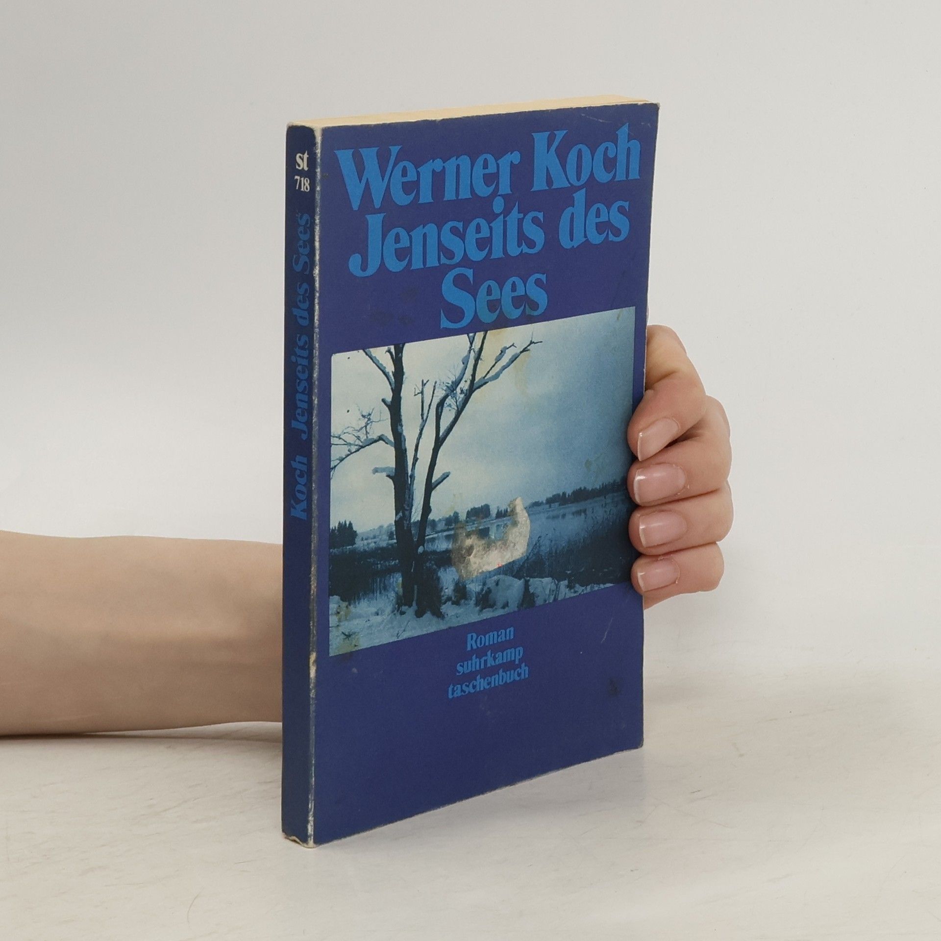 Werner Koch Jenseits des Sees. Roman