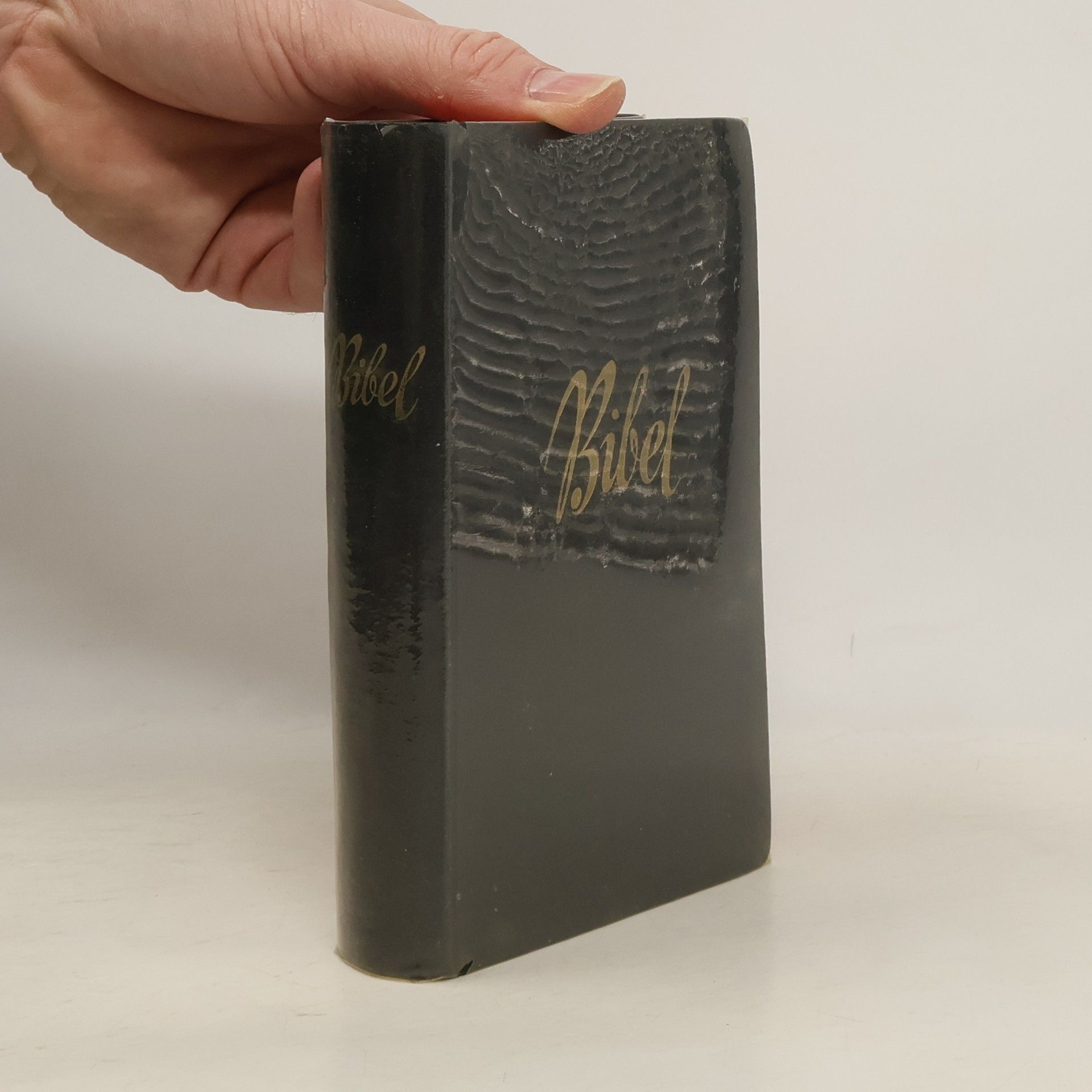 Hermann Menge Die Heilige Schrift