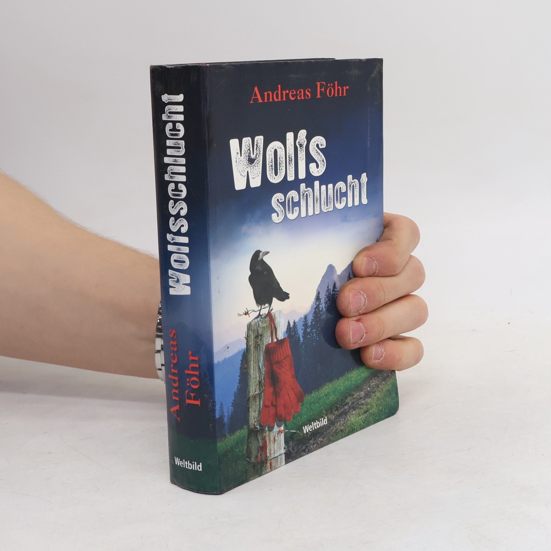 Andreas Föhr Wolfsschlucht