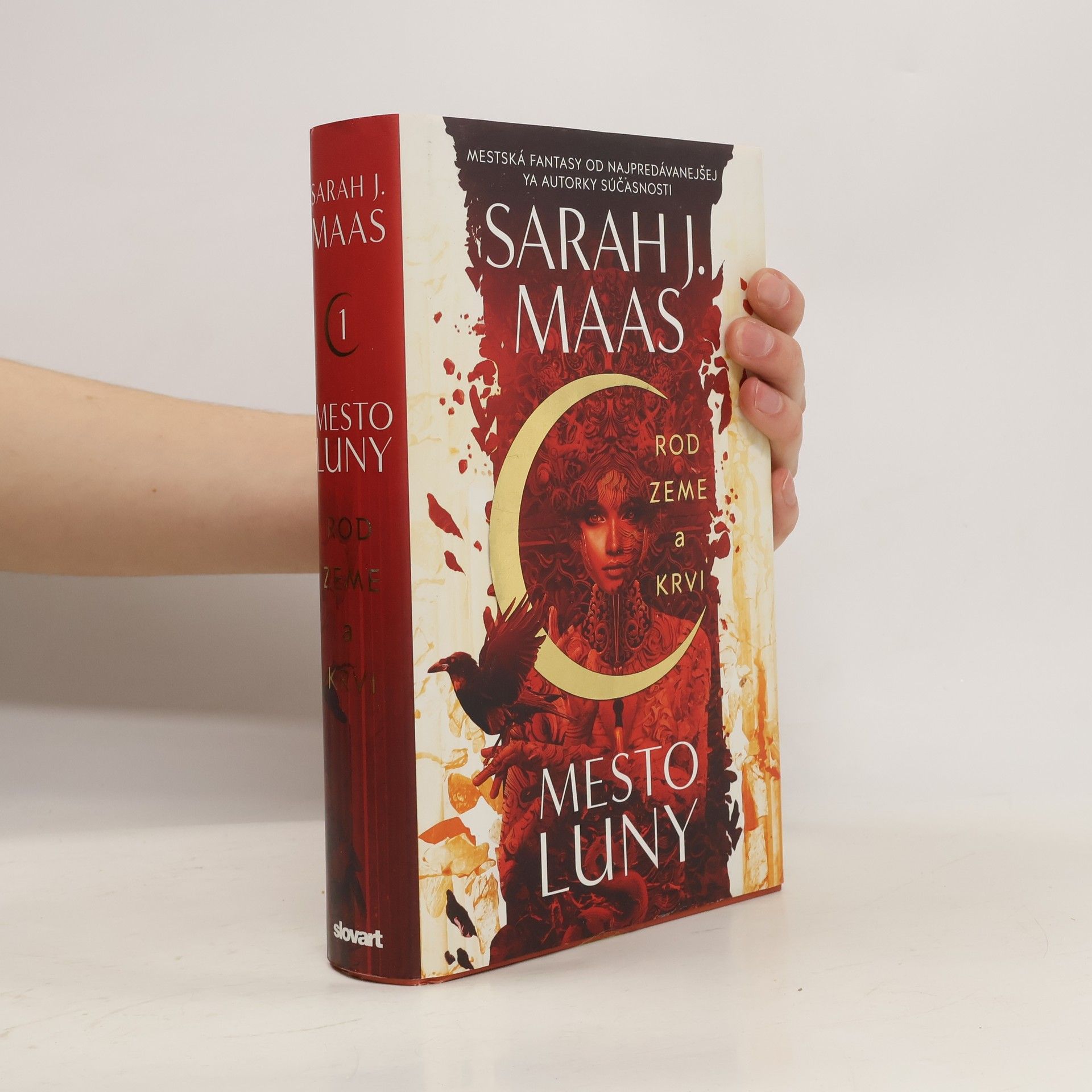 Sarah J. Maas Rod zeme a krvi