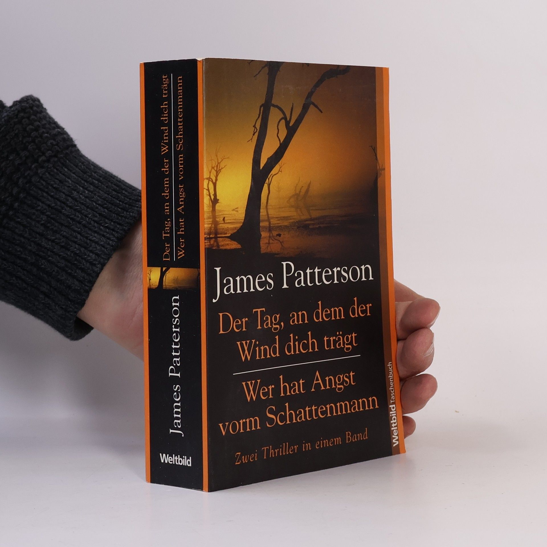 James Patterson Der Tag, an dem der Wind dich trägt