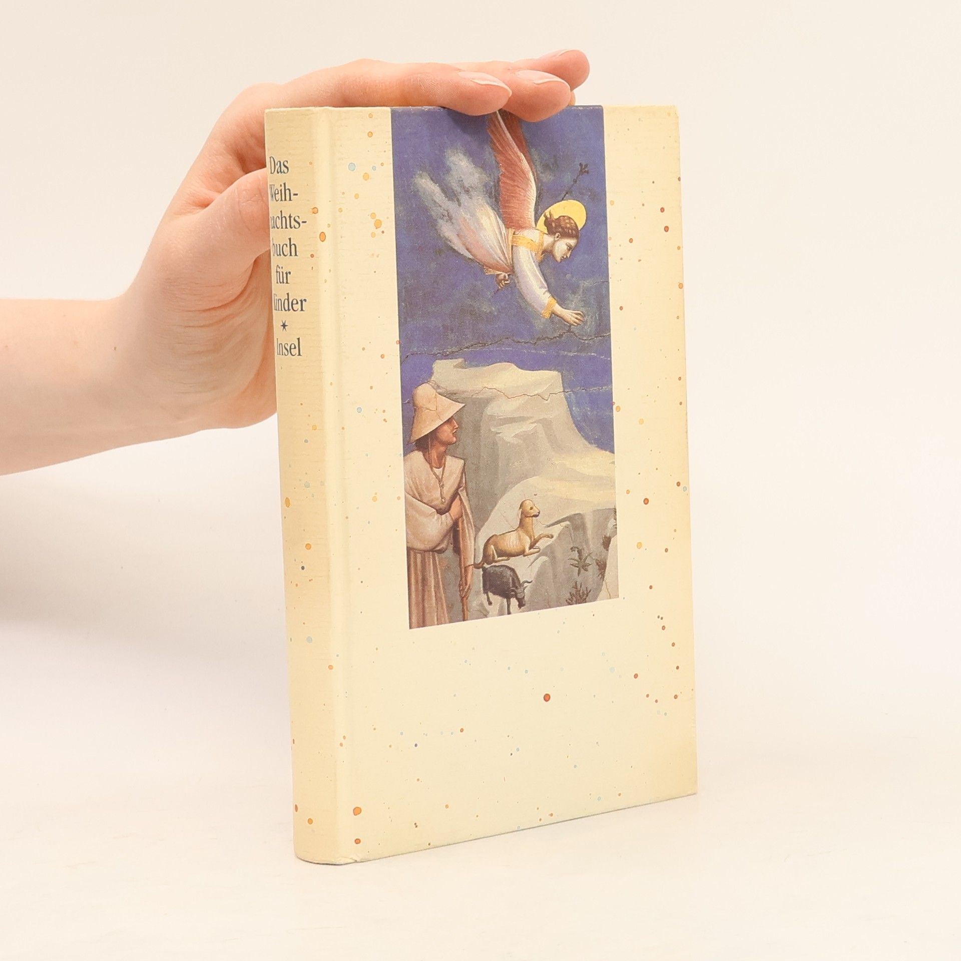 Elisabeth Borchers Das Weihnachtsbuch für Kinder. Mit Geschichten, Gedichten und Bildern