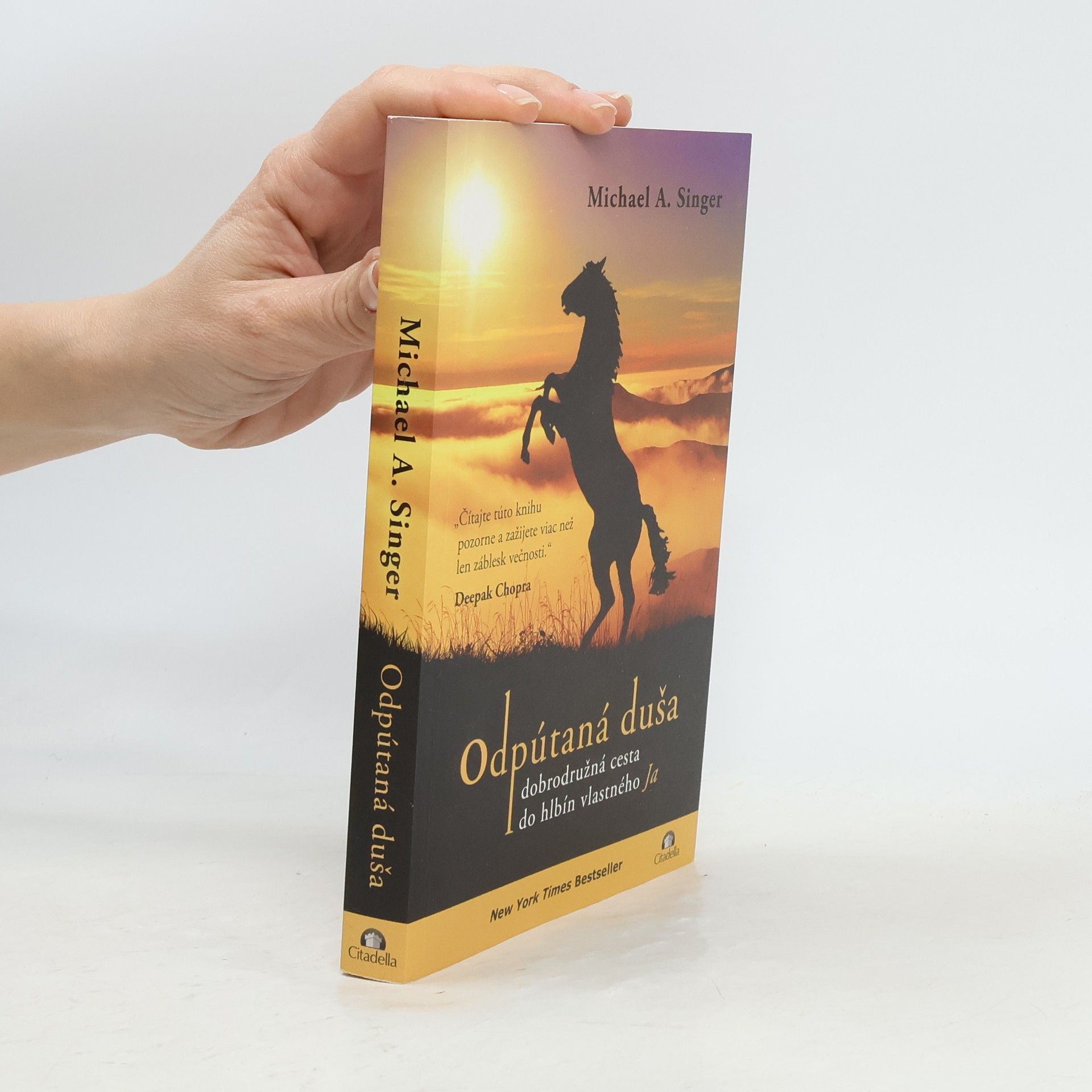 . Michael A. Singer prel. Barbora Daxner Odpútaná duša