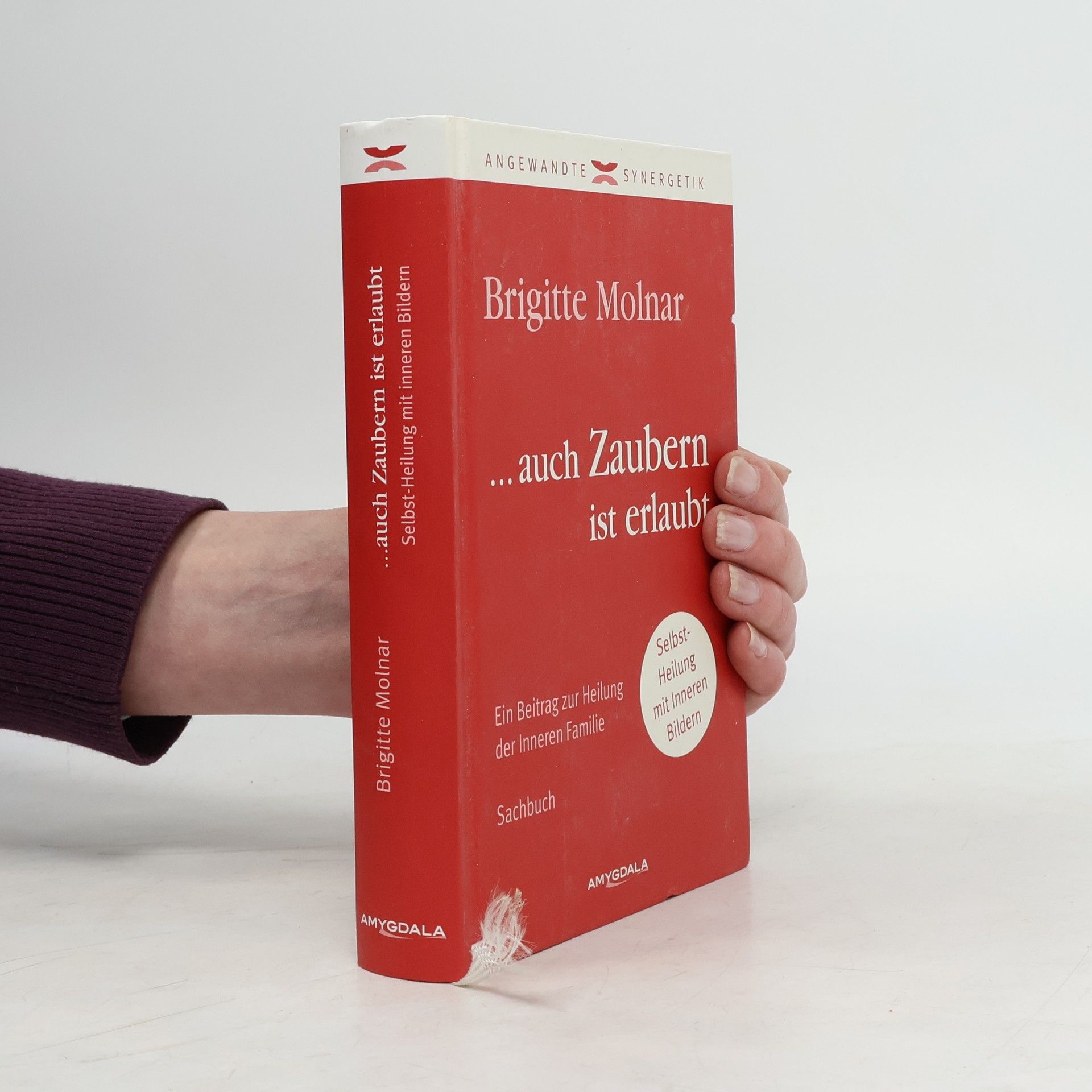 Brigitte Molnar ... auch Zaubern ist erlaubt