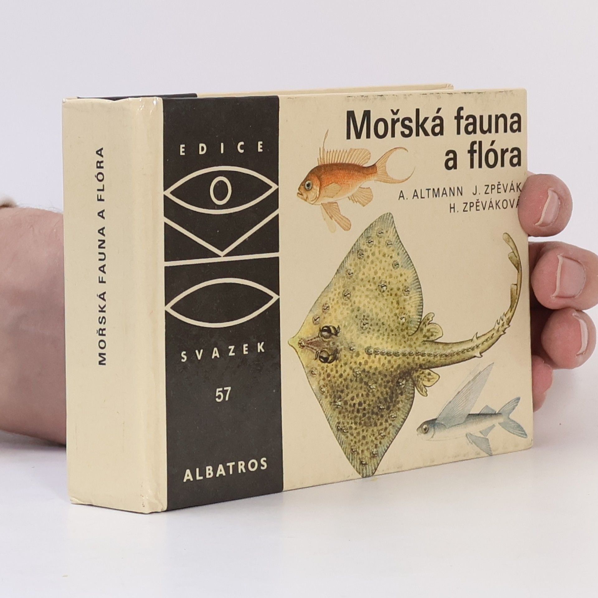 Antonín Altmann Mořská fauna a flóra