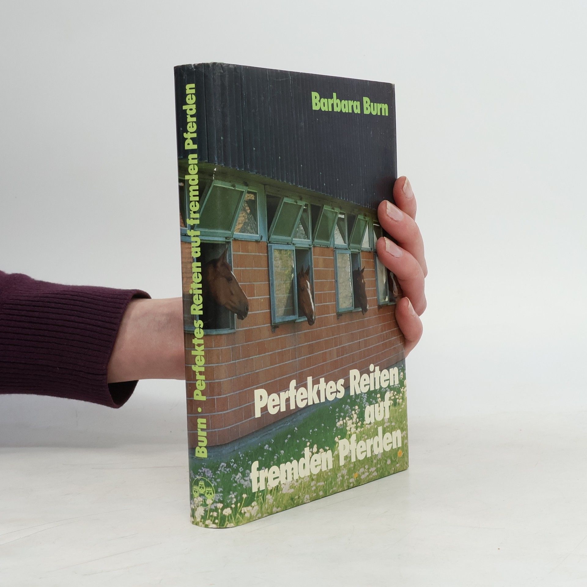 Perfektes Reiten auf fremden Pferden