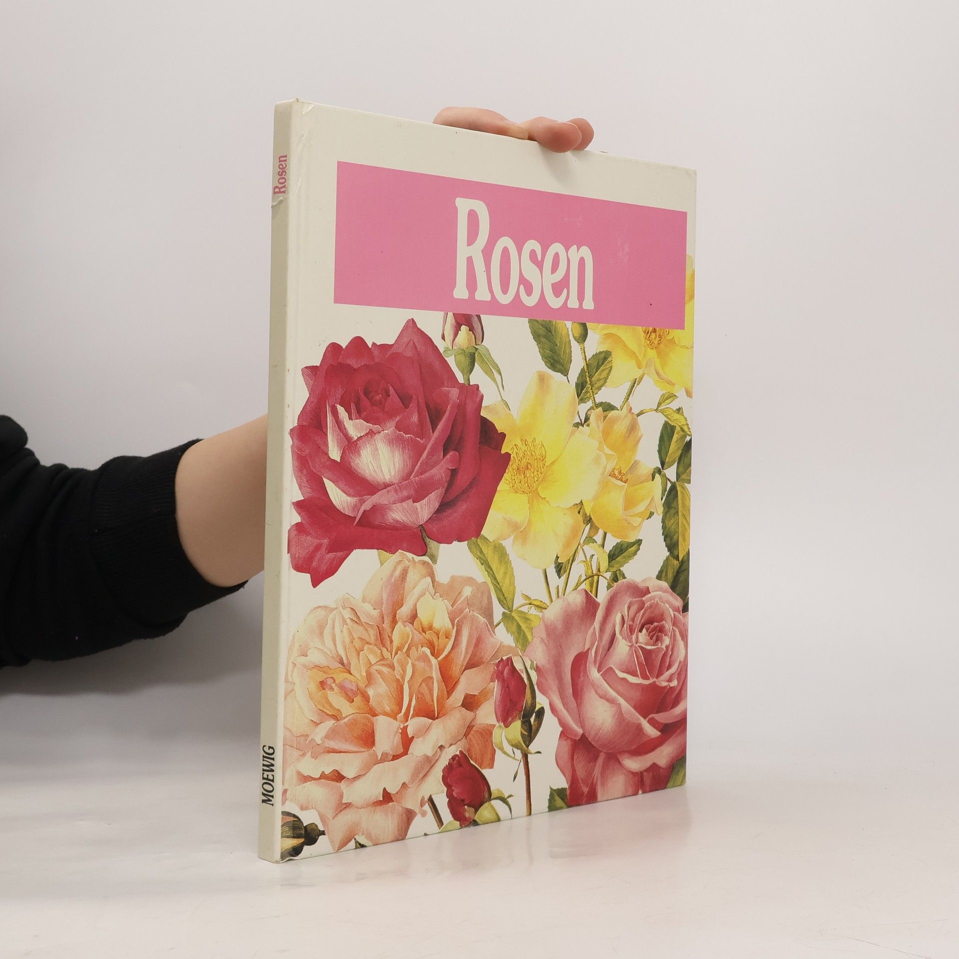 Grazia Poldner-Cecchini Rosen