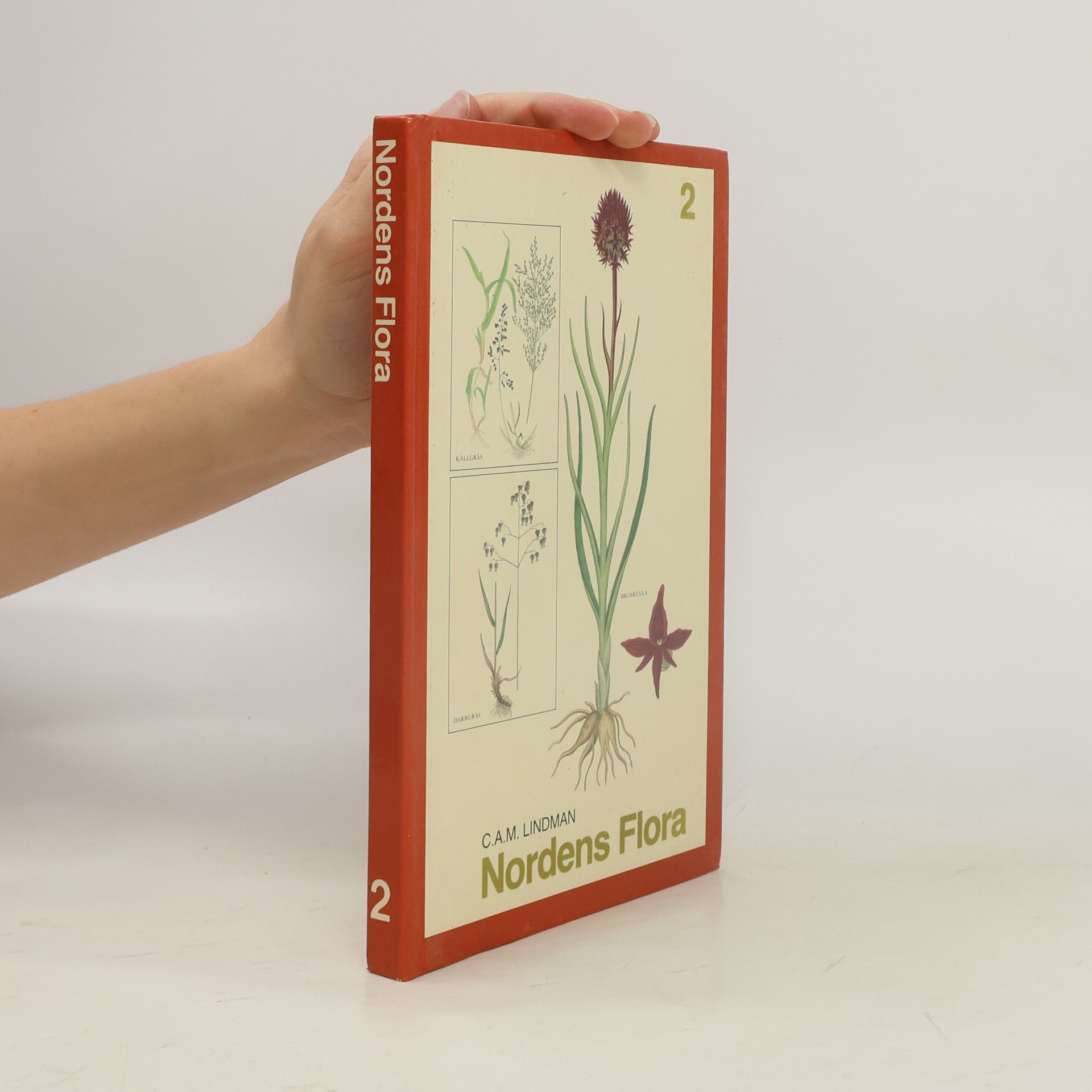 Carl Axel Magnus Lindman Nordens Flora 2