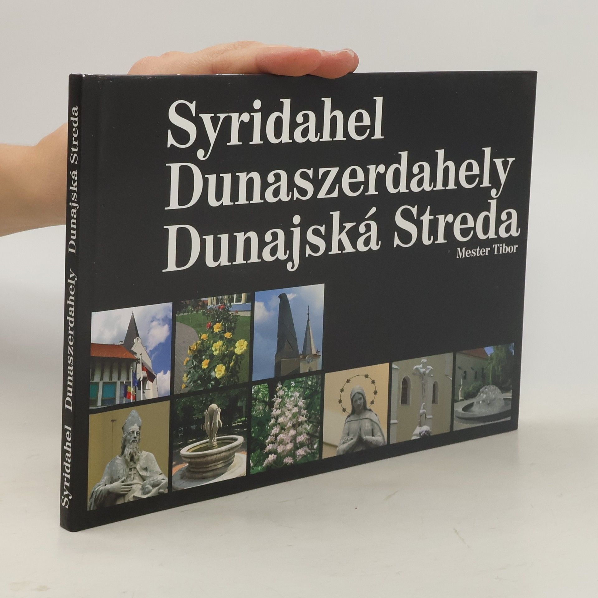Tibor Zsigmond Syridahel / Dunaszerdahely / Dunajská Streda