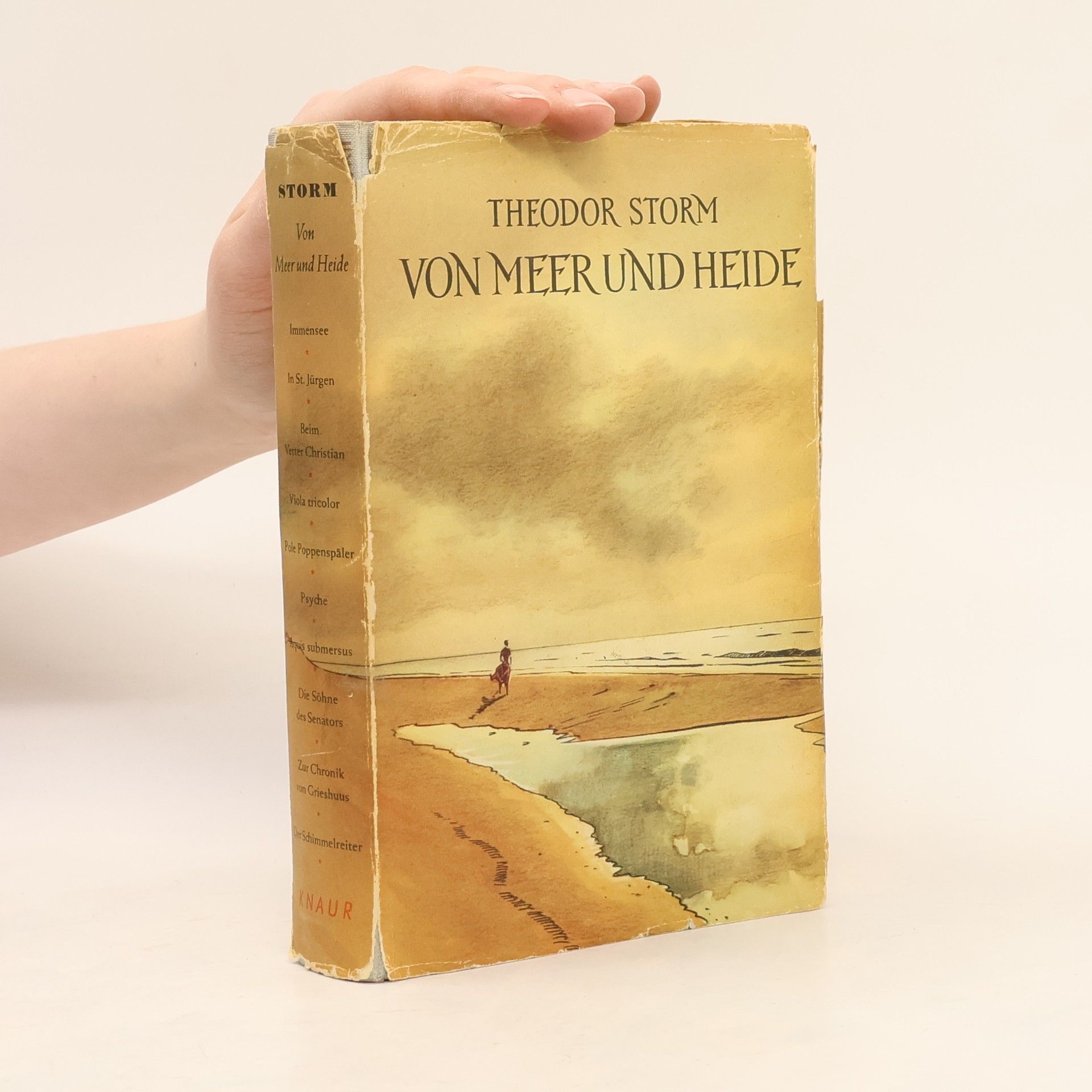 Theodor Storm Vom Meer und Heide