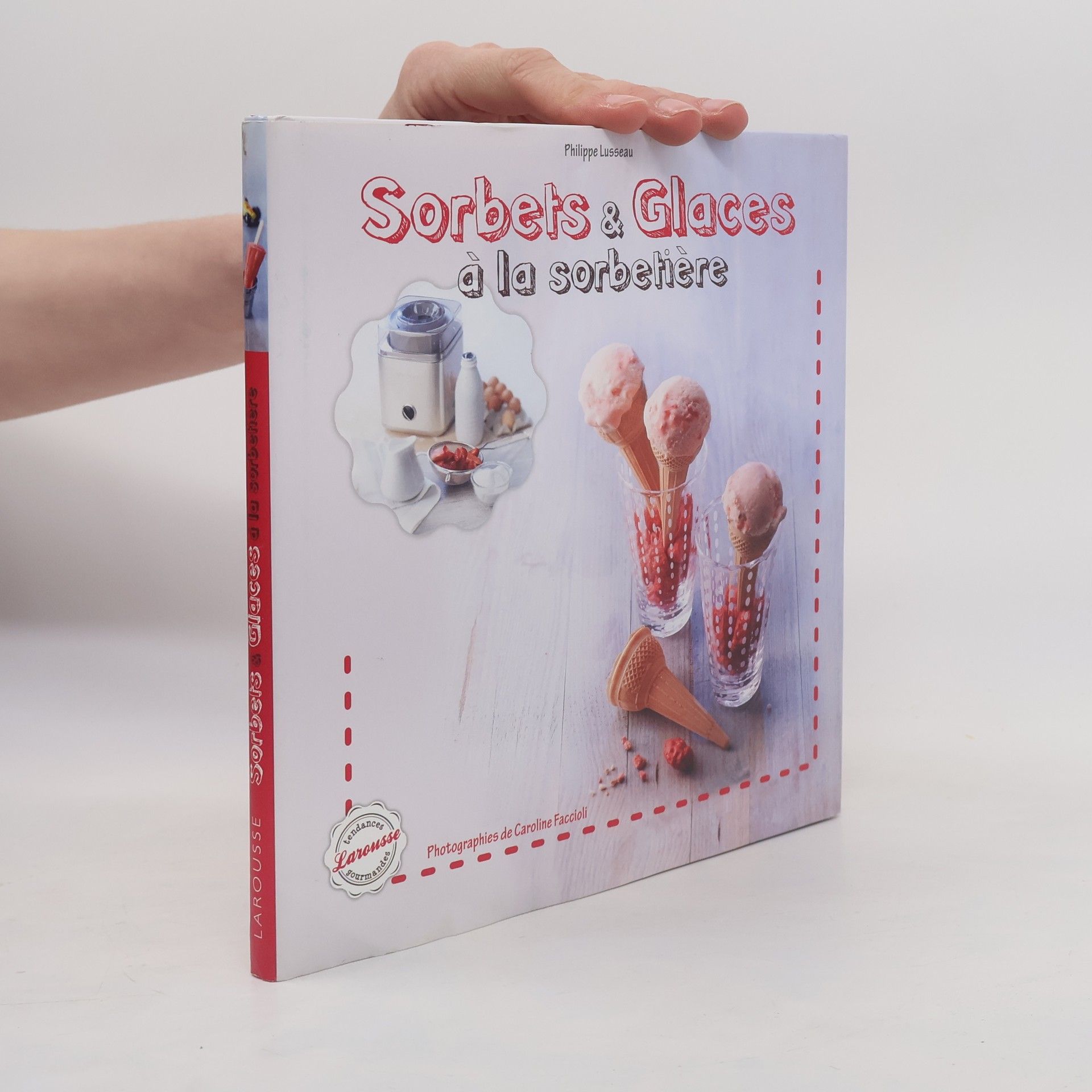 Philippe Lusseau Sorbets et glaces à la sorbetière