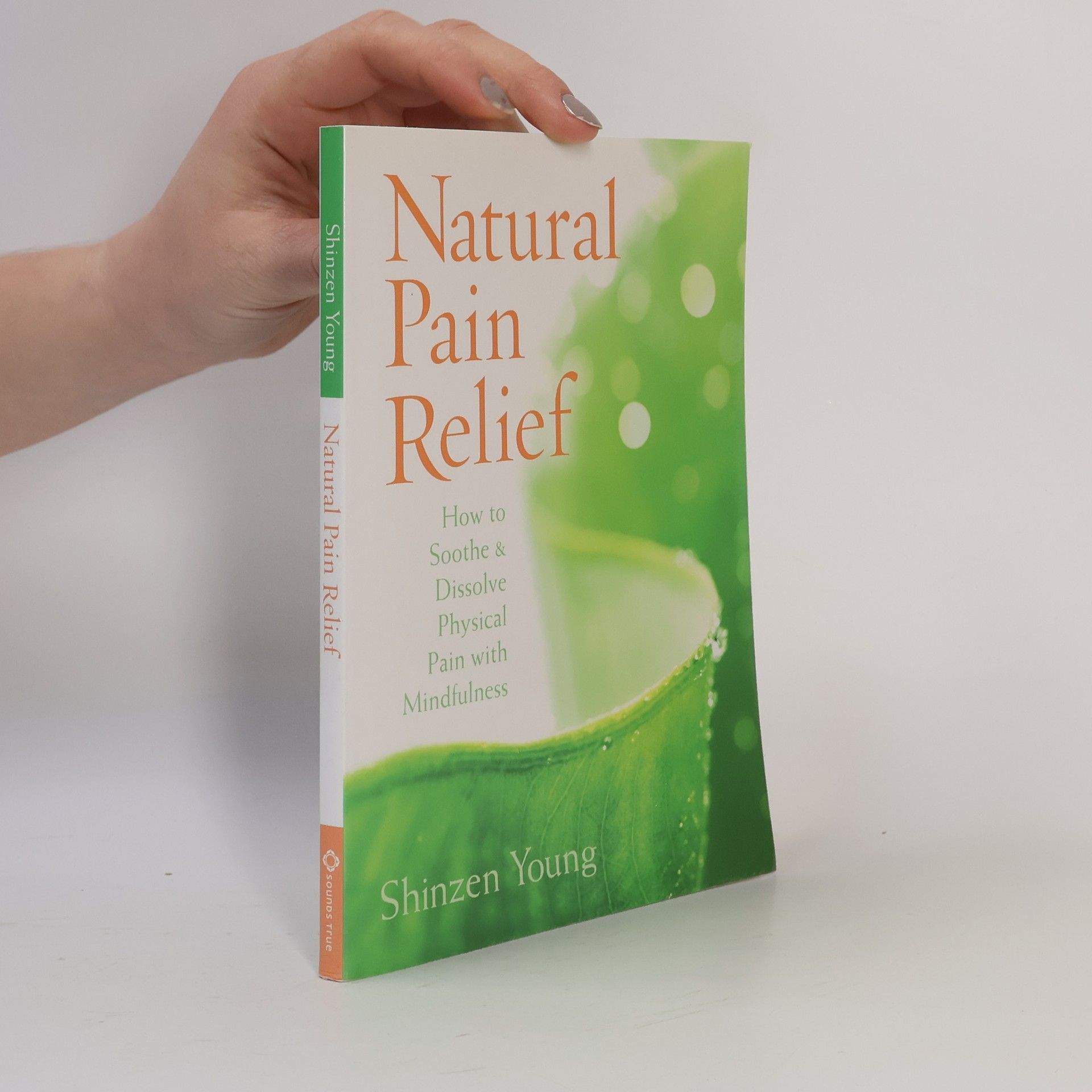 Shinzen Young Natural Pain Relief