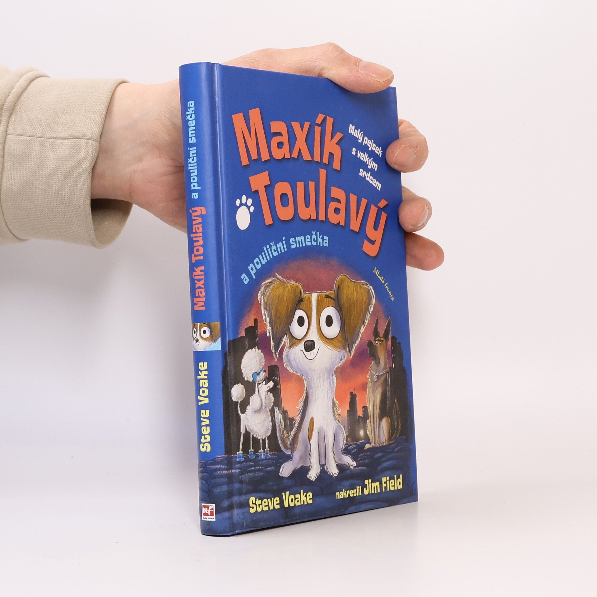 Steve Voake Maxík Toulavý a pouliční smečka
