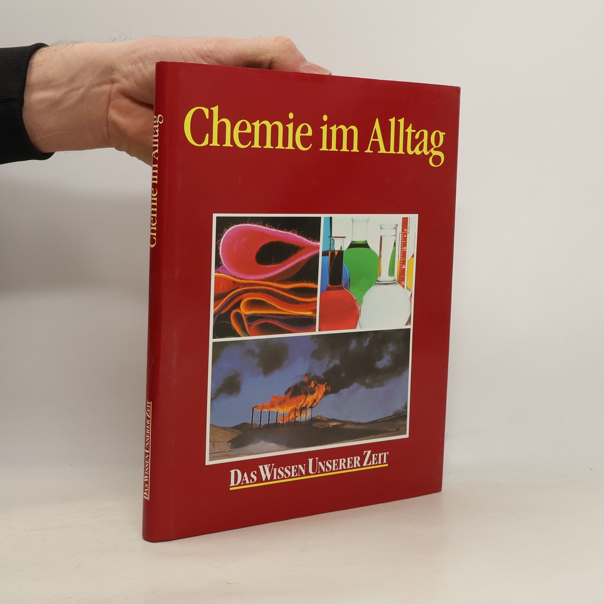 Kolektív autorov Chemie im Alltag