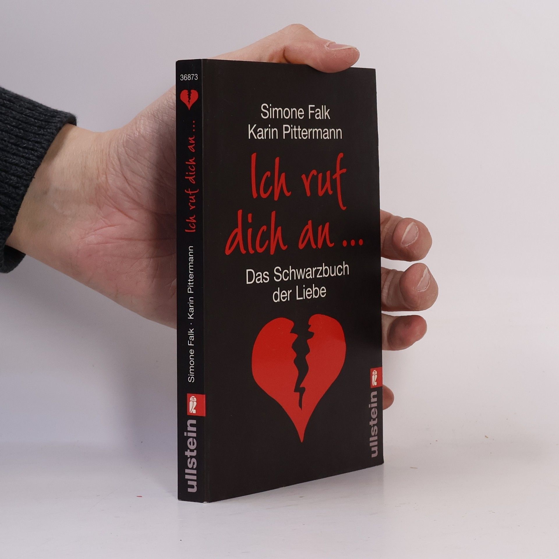 Simone Falk Ich ruf dich an ...