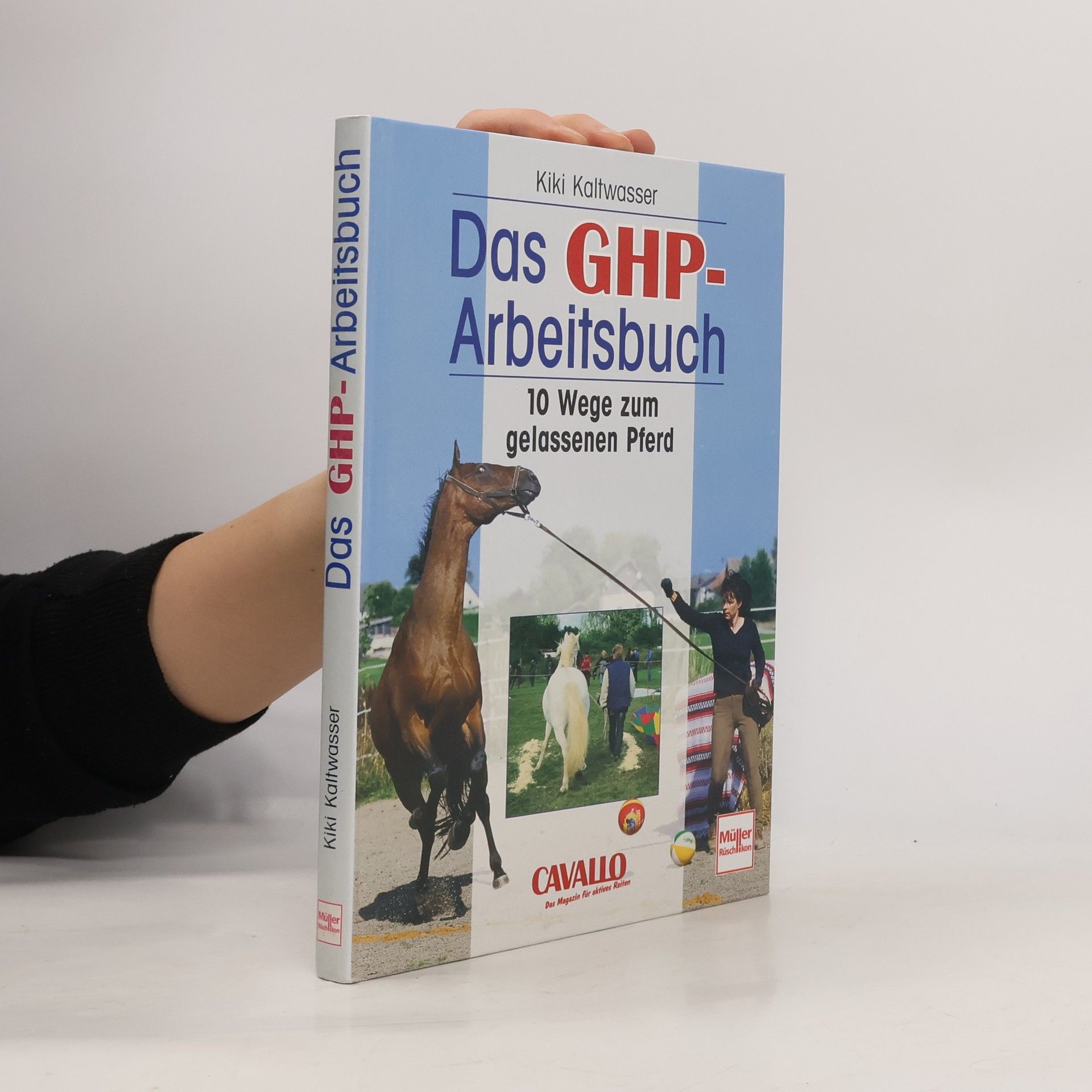 Kiki Kaltwasser Das GHP-Arbeitsbuch