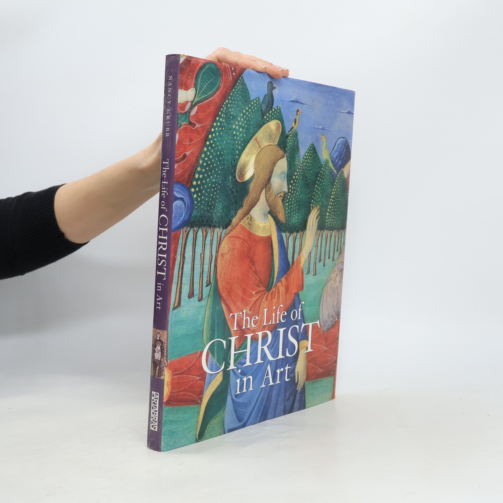 Nancy Grubb The Life of Christ in Art