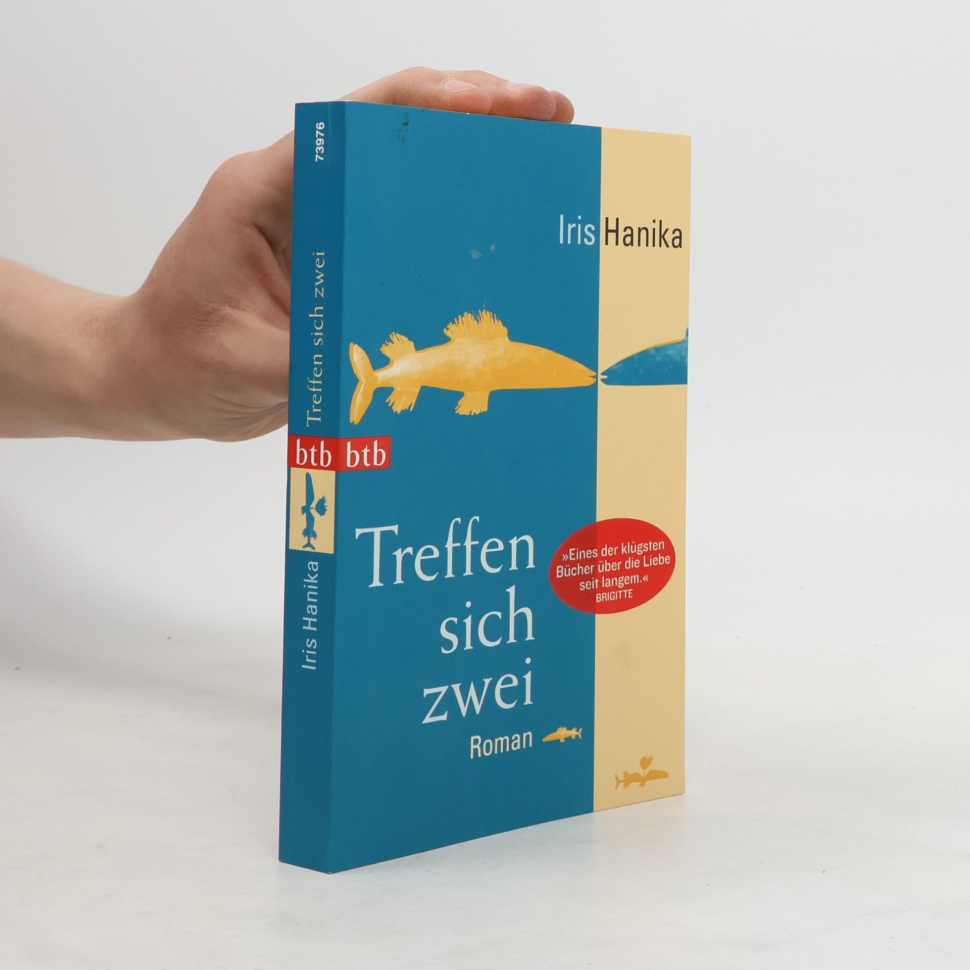 Iris Hanika Treffen sich zwei