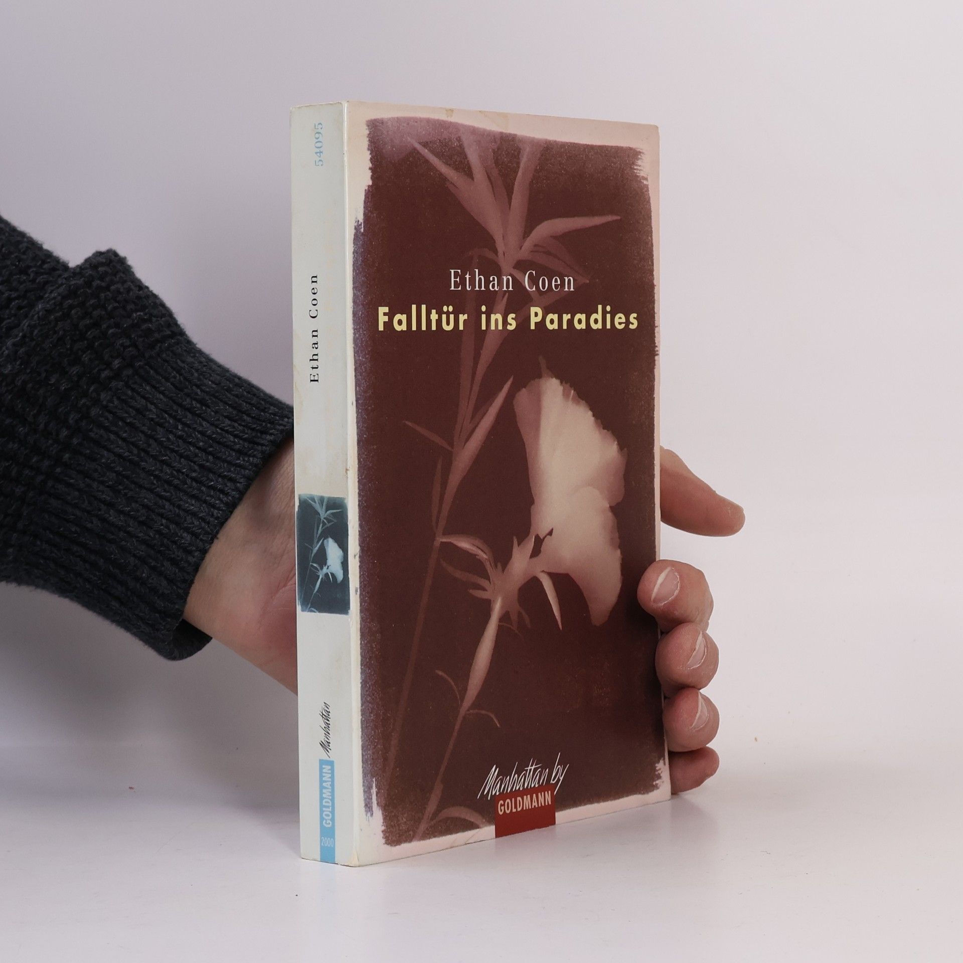Ethan Coen Falltür ins Paradies