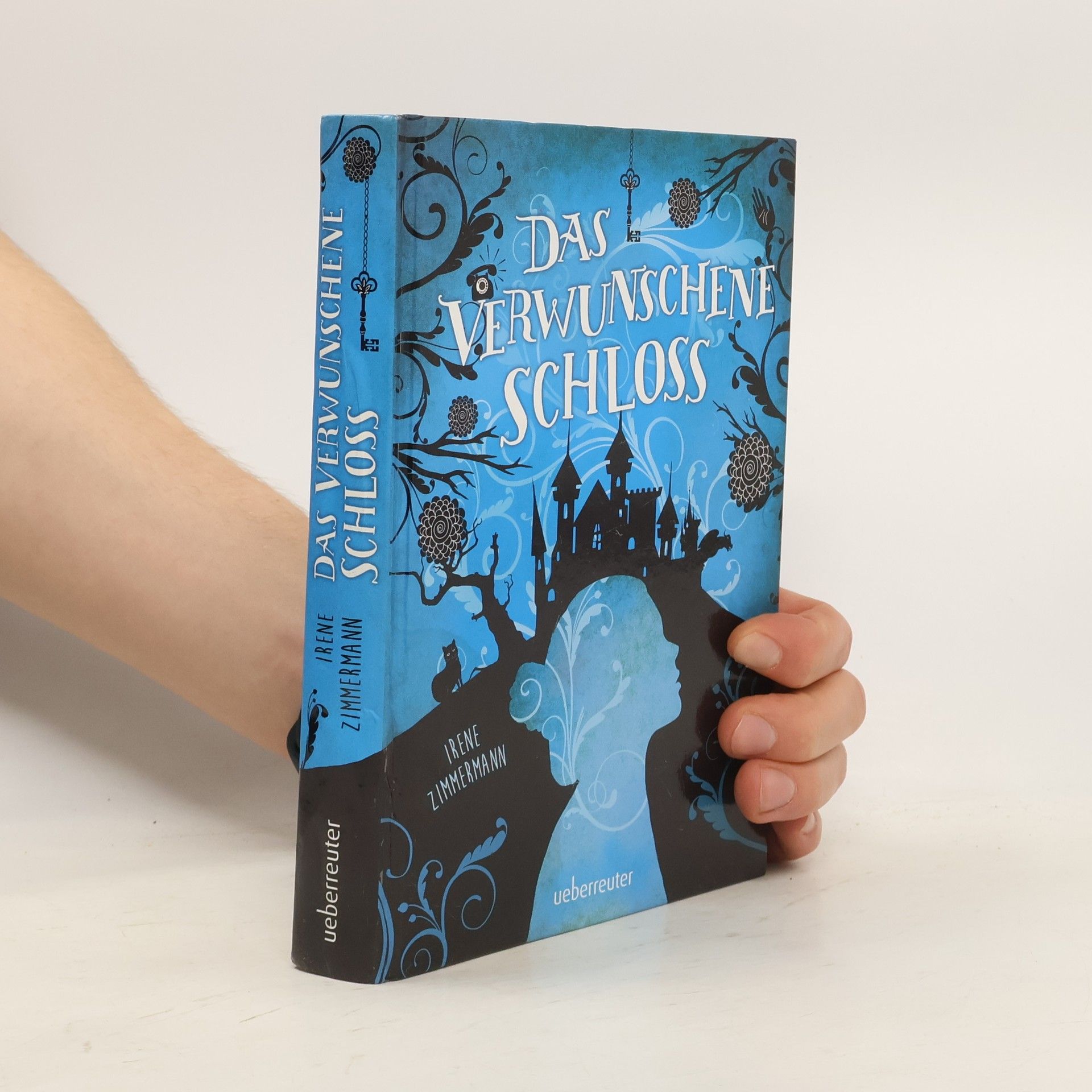 Irene Zimmermann Das verwunschene Schloss