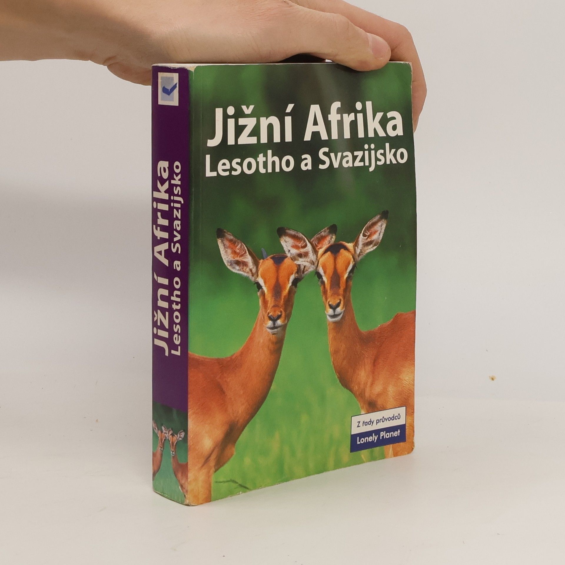 Mary Fitzpatrick Jižní Afrika, Lesotho a Svazijsko