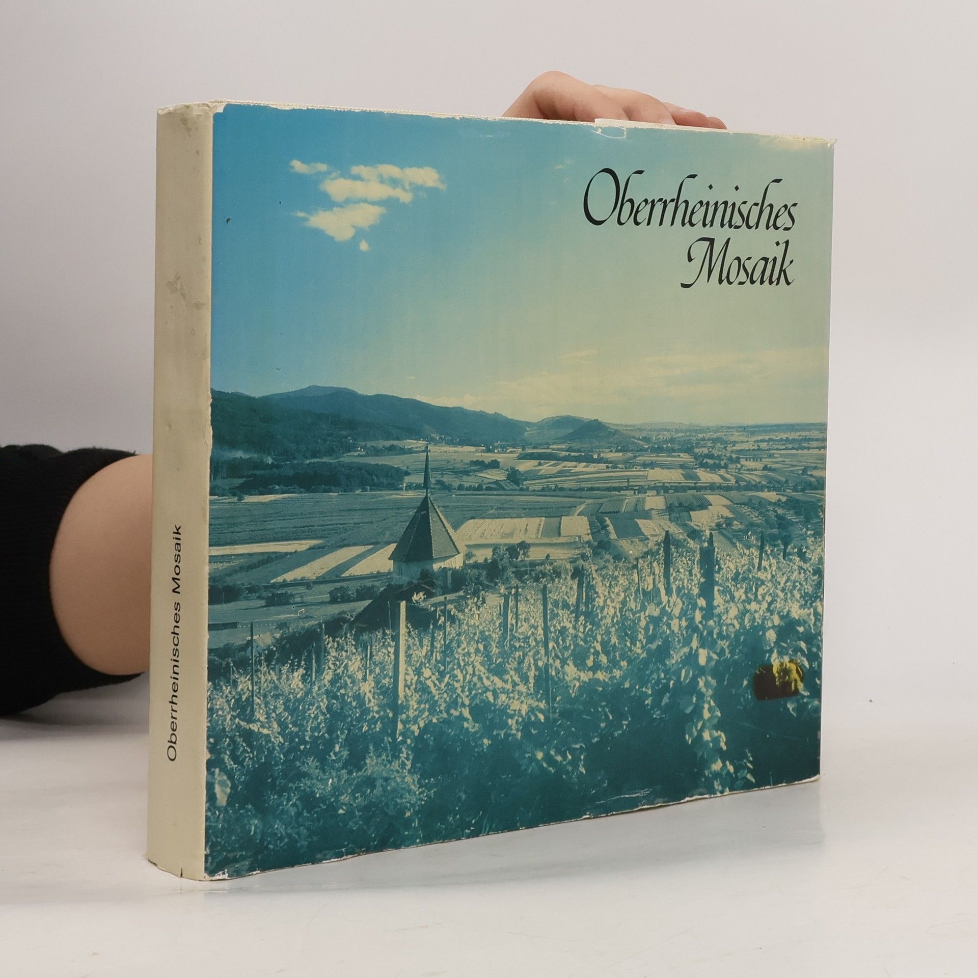 Autores varios Oberrheinisches Mosaik