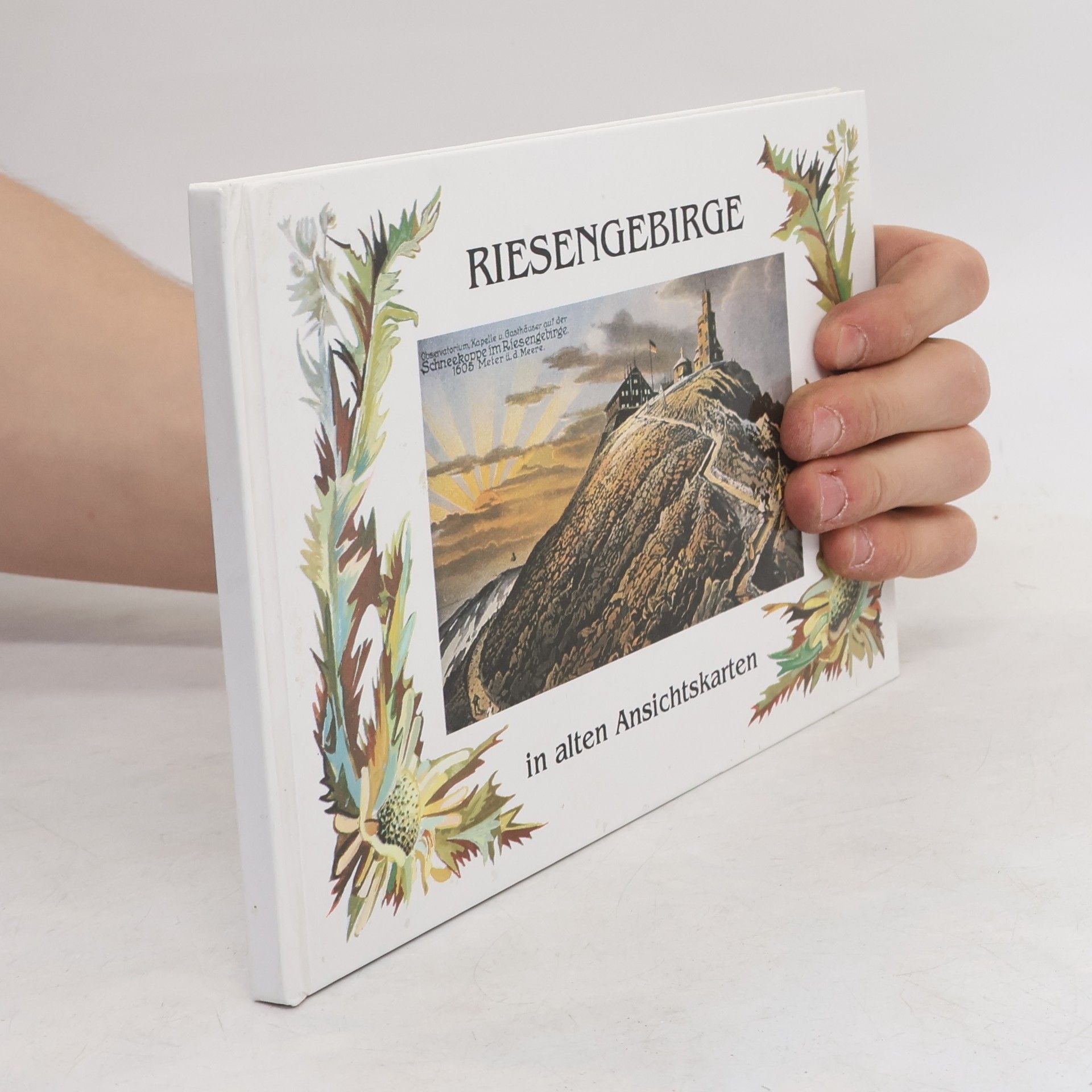 Autorenkollektiv Riesengebirge in alten Ansichtskarten