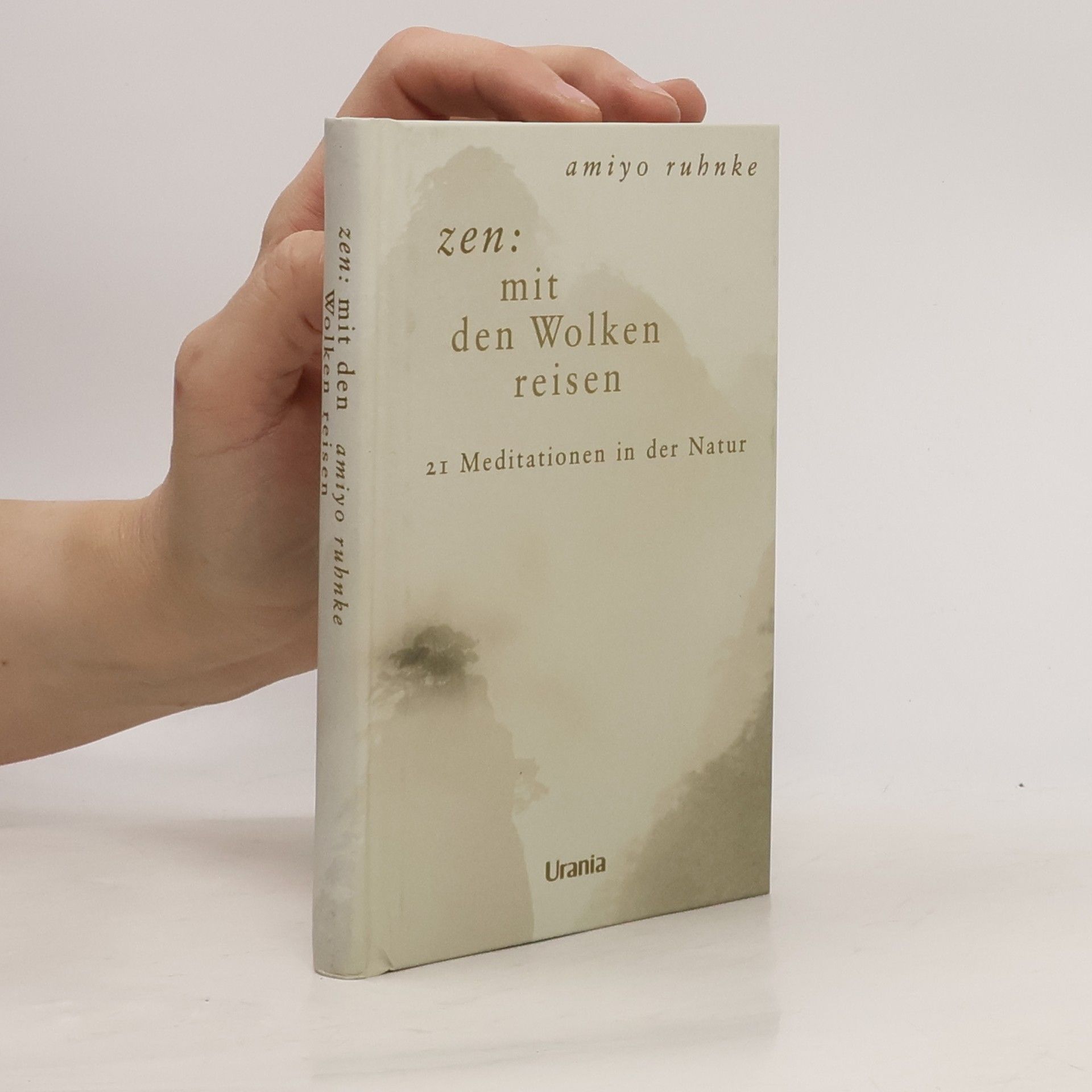 Amiyo Ruhnke Zen. Mit den Wolken reisen.