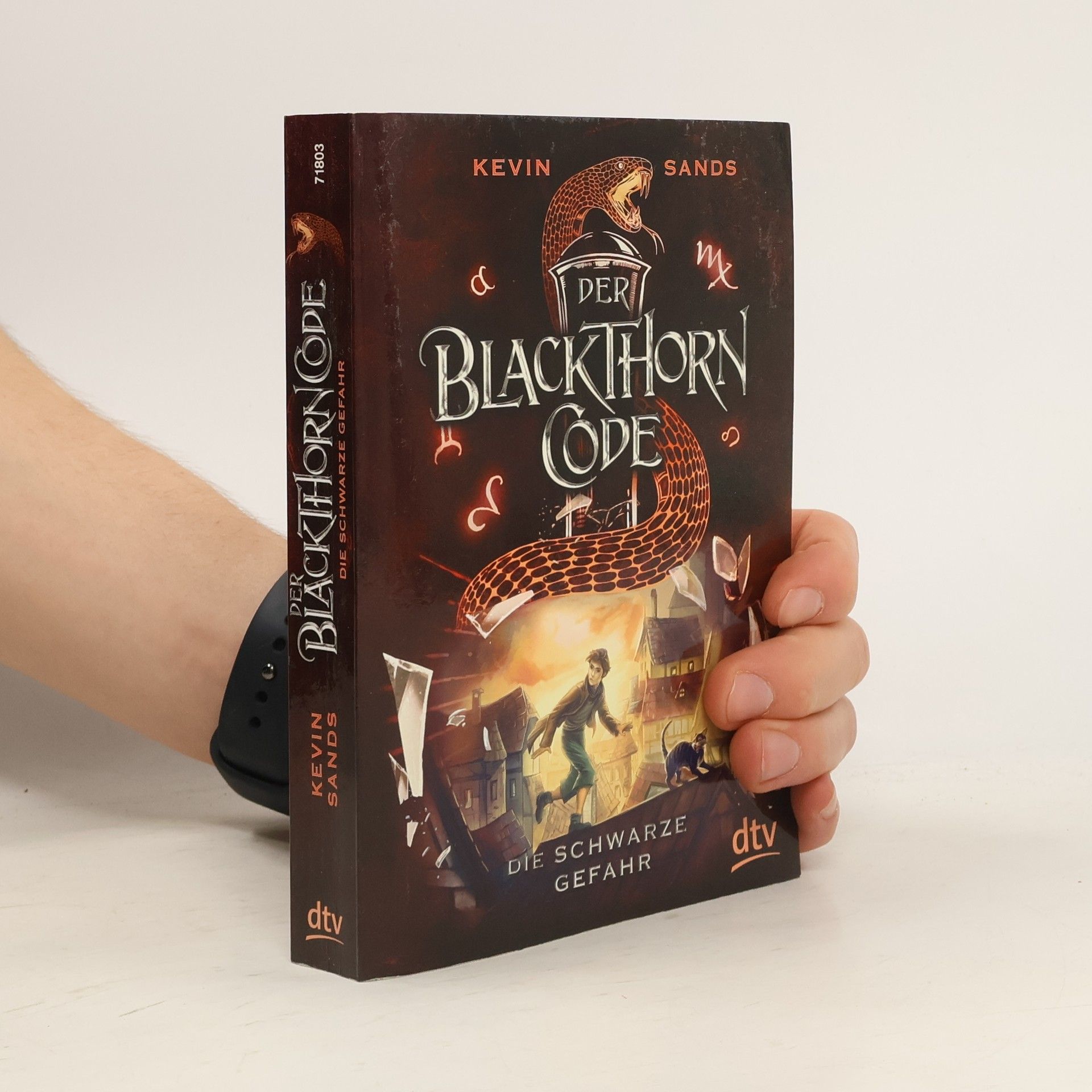 Kevin Sands Der Blackthorn Code - die schwarze Gefahr
