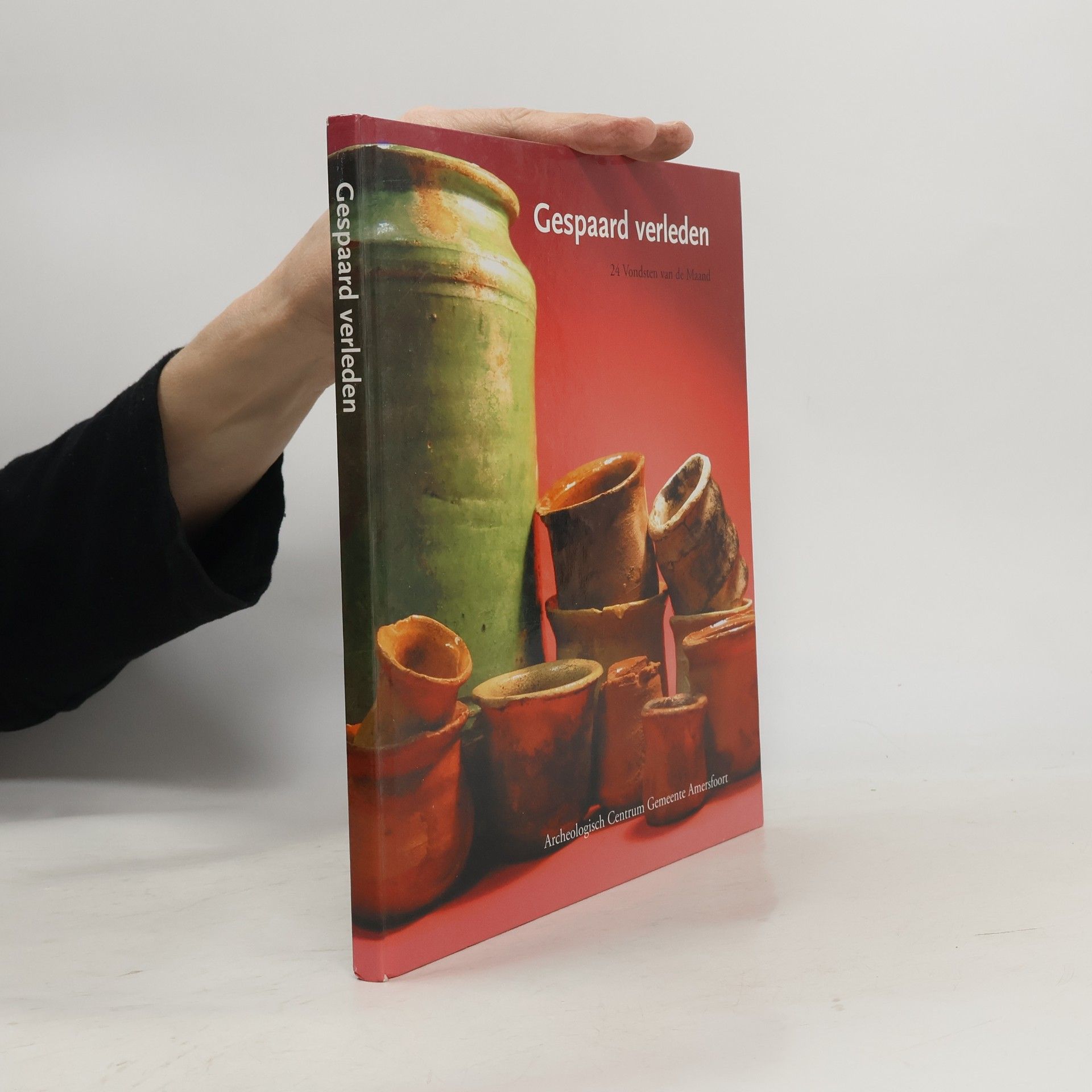 Timo Hollosy Gespaard verleden