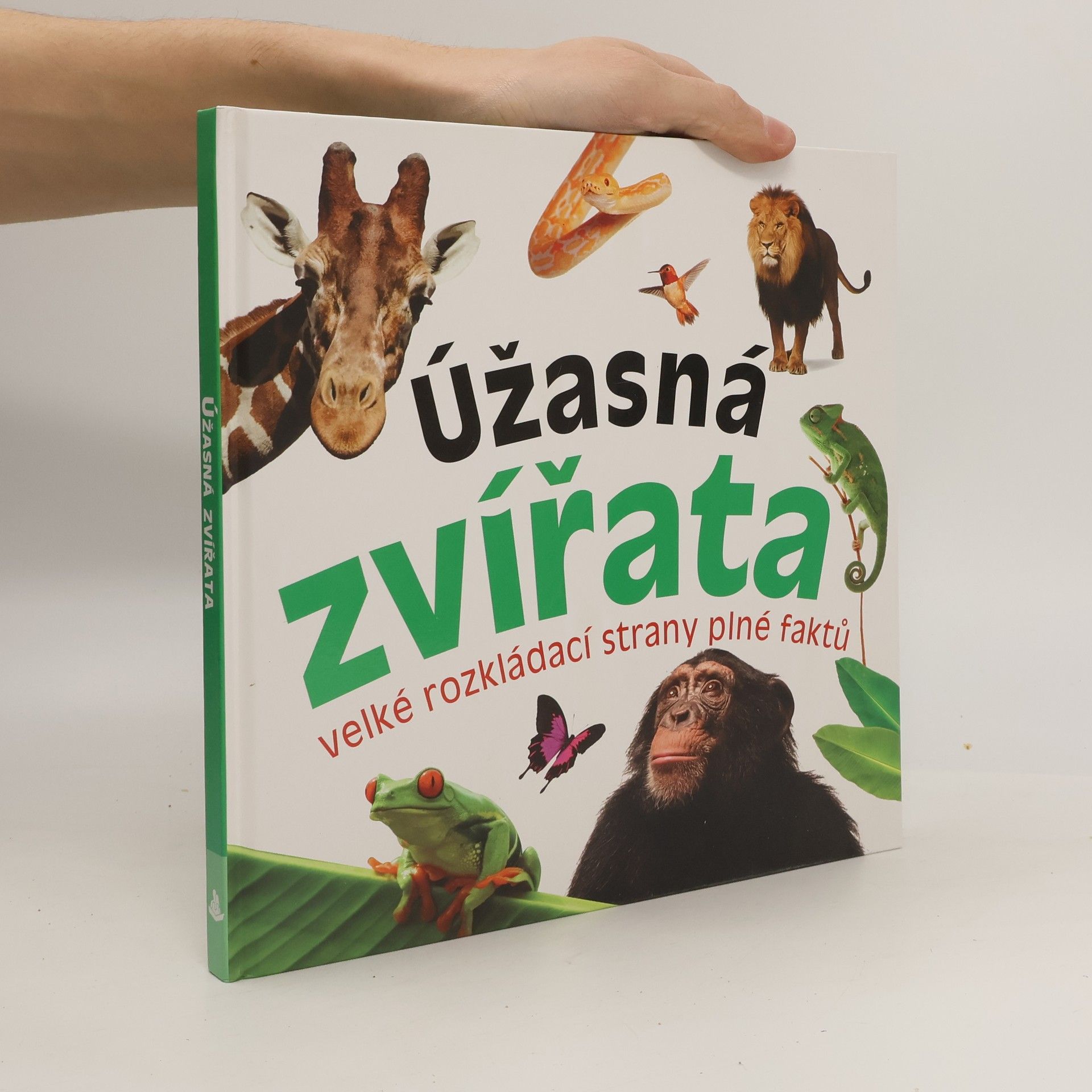 Kolektív autorov Úžasná zvířata - velké rozkládací strany plné faktů