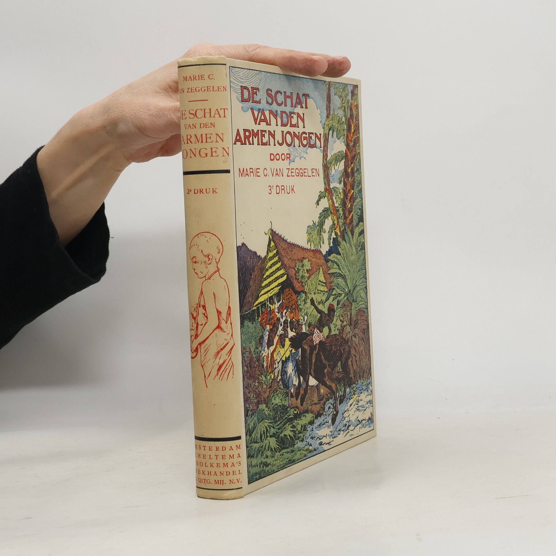 Marie C. van Zeggelen De schat van den armen jongen