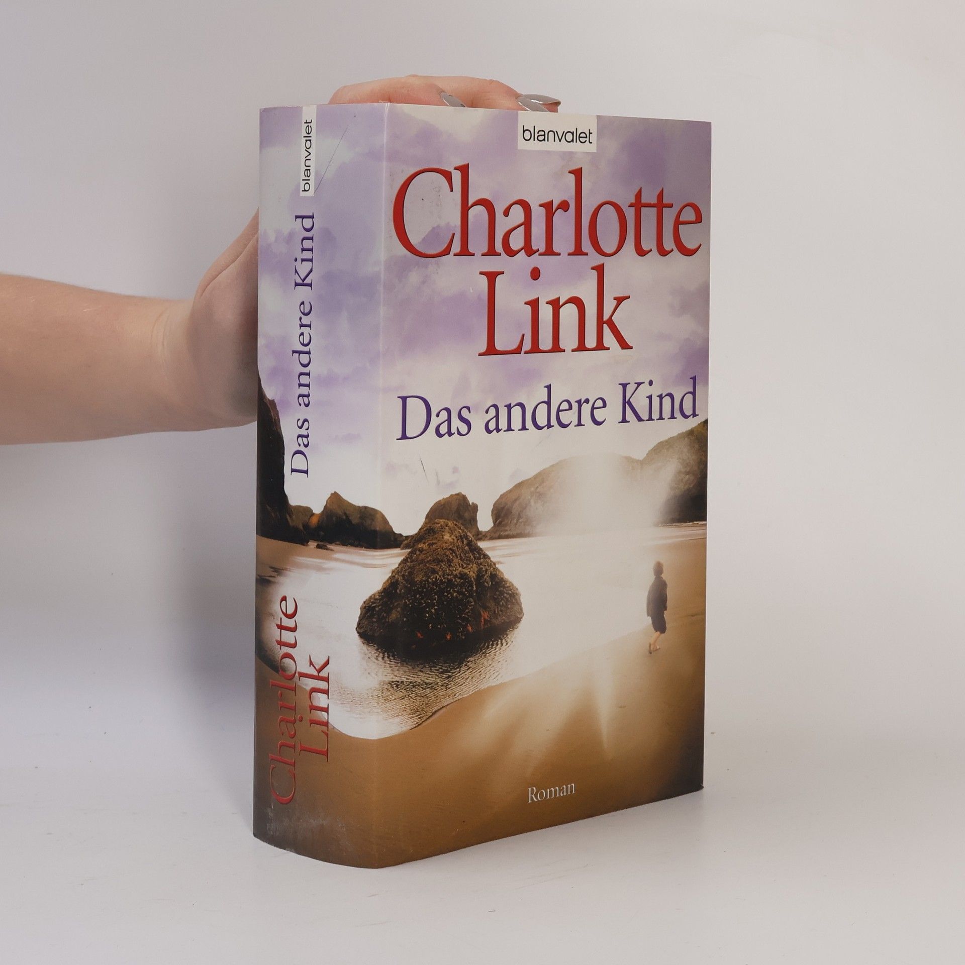 Charlotte Link Das andere Kind