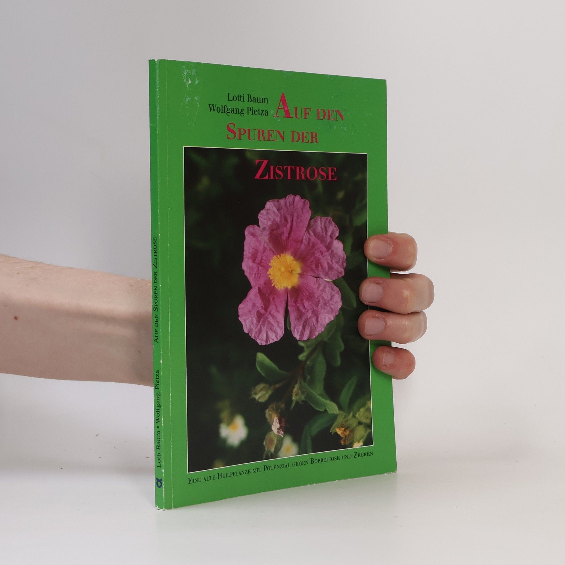 Lotti Baum Auf den Spuren der Zistrose