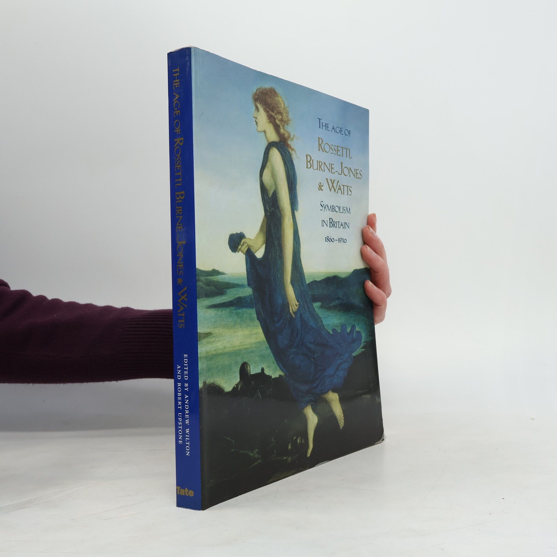 Andrew Wilton The Age of Rossetti, Burne-Jones And Watts