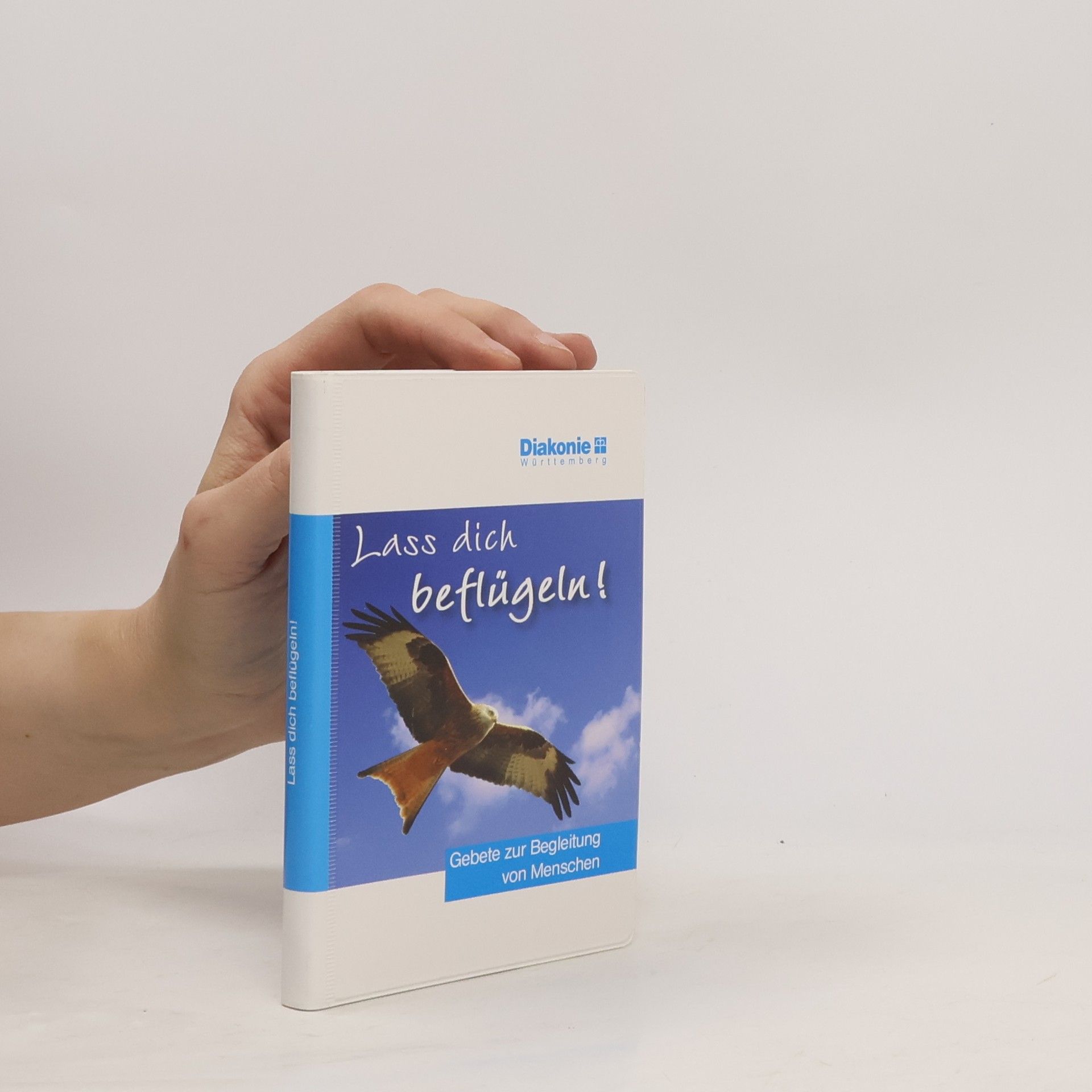 Autorenkollektiv Lass dich beflügeln!