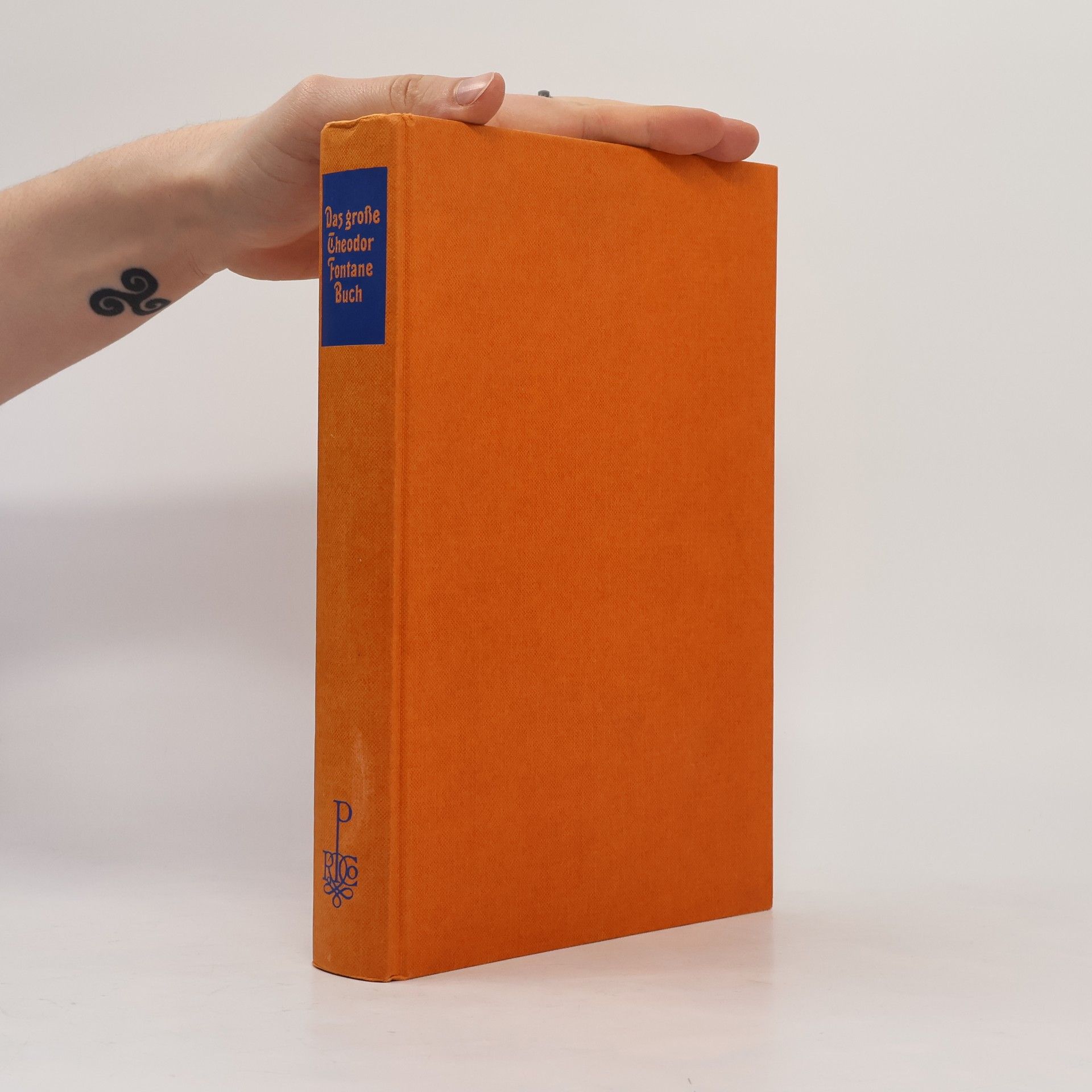 Werner Pleister Das große Theodor Fontane Buch