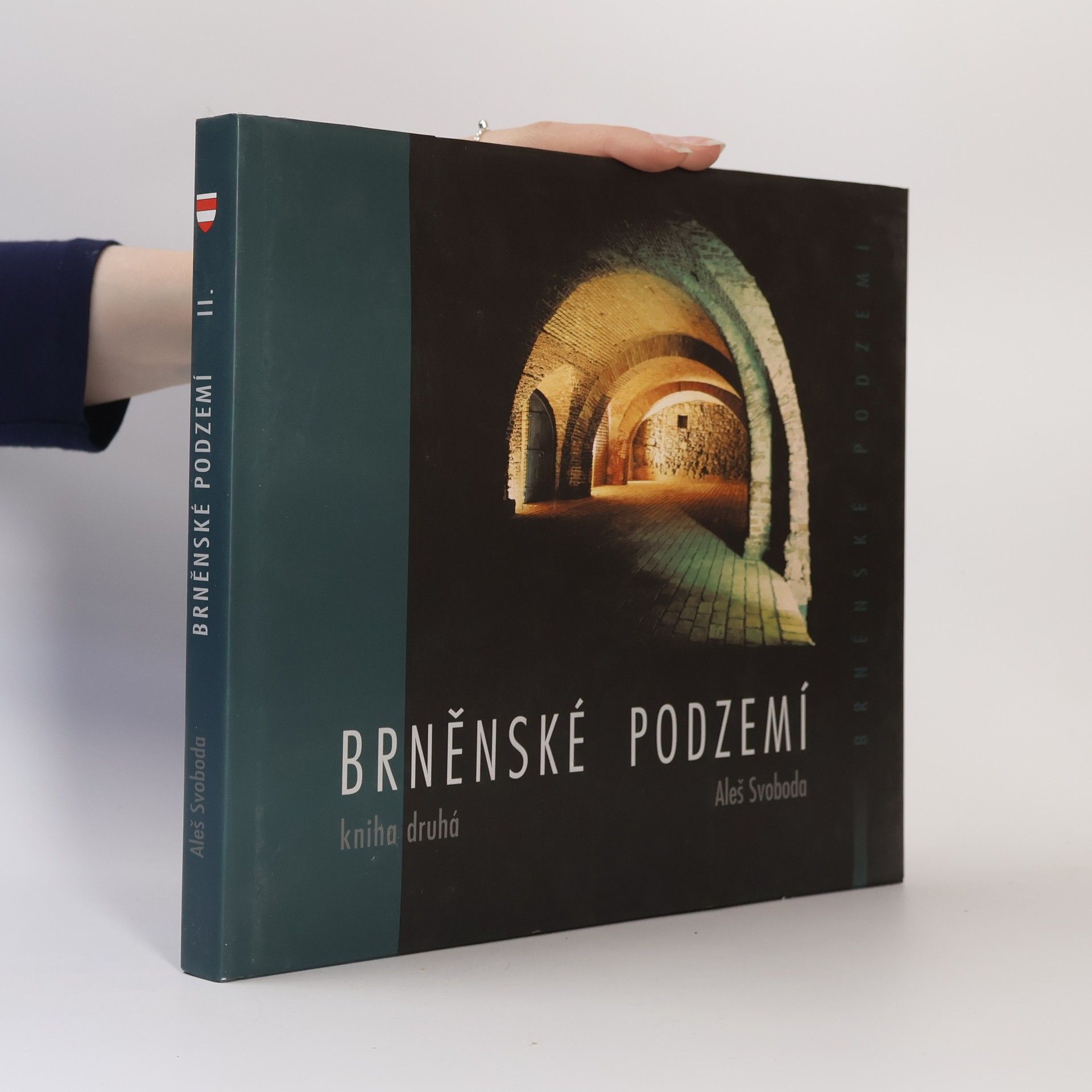 Aleš Svoboda Brněnské podzemí. Kniha druhá