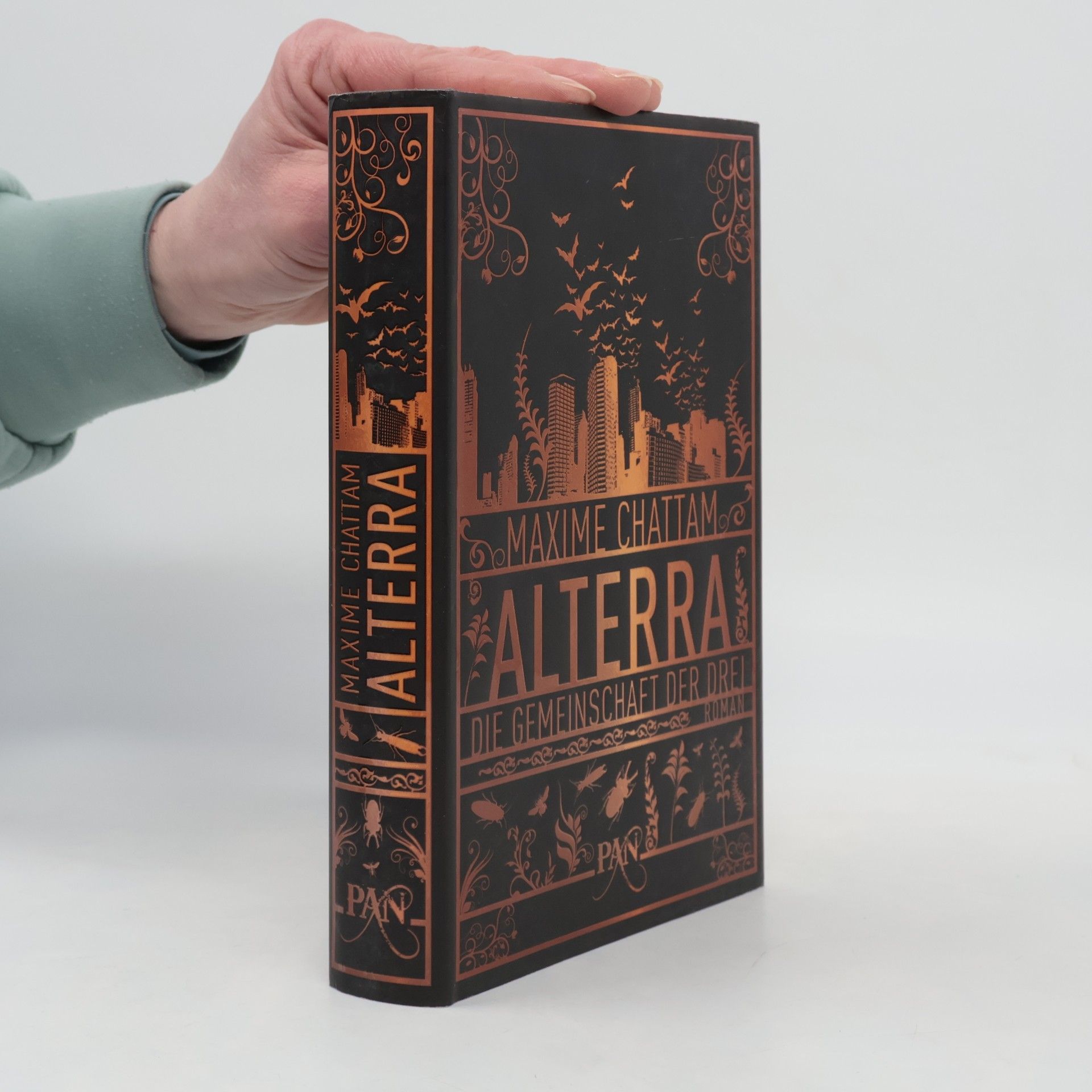 Maxime Chattam Alterra; Die Gemeinschaft der Drel