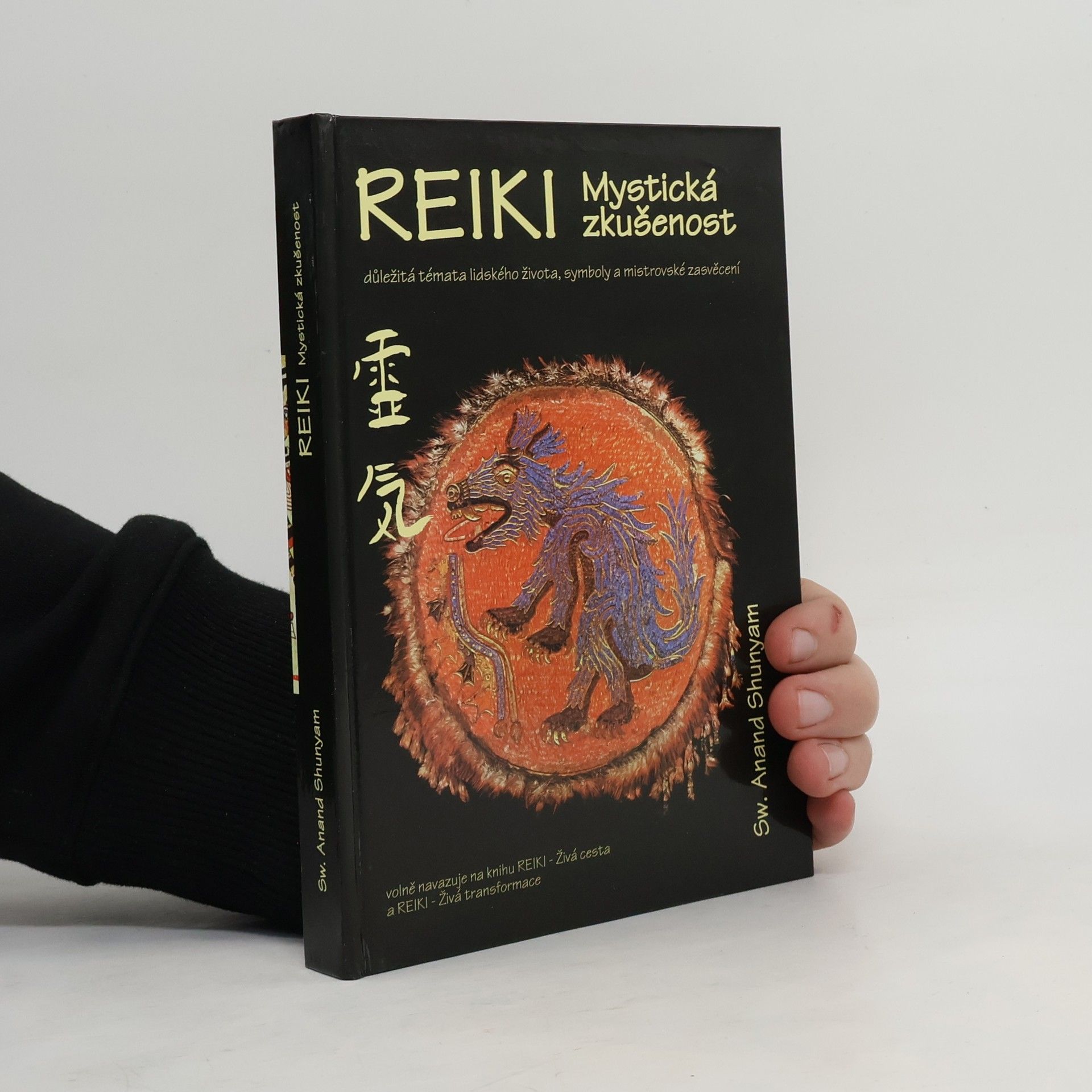 Anand Shunyam Reiki: mystická zkušenost