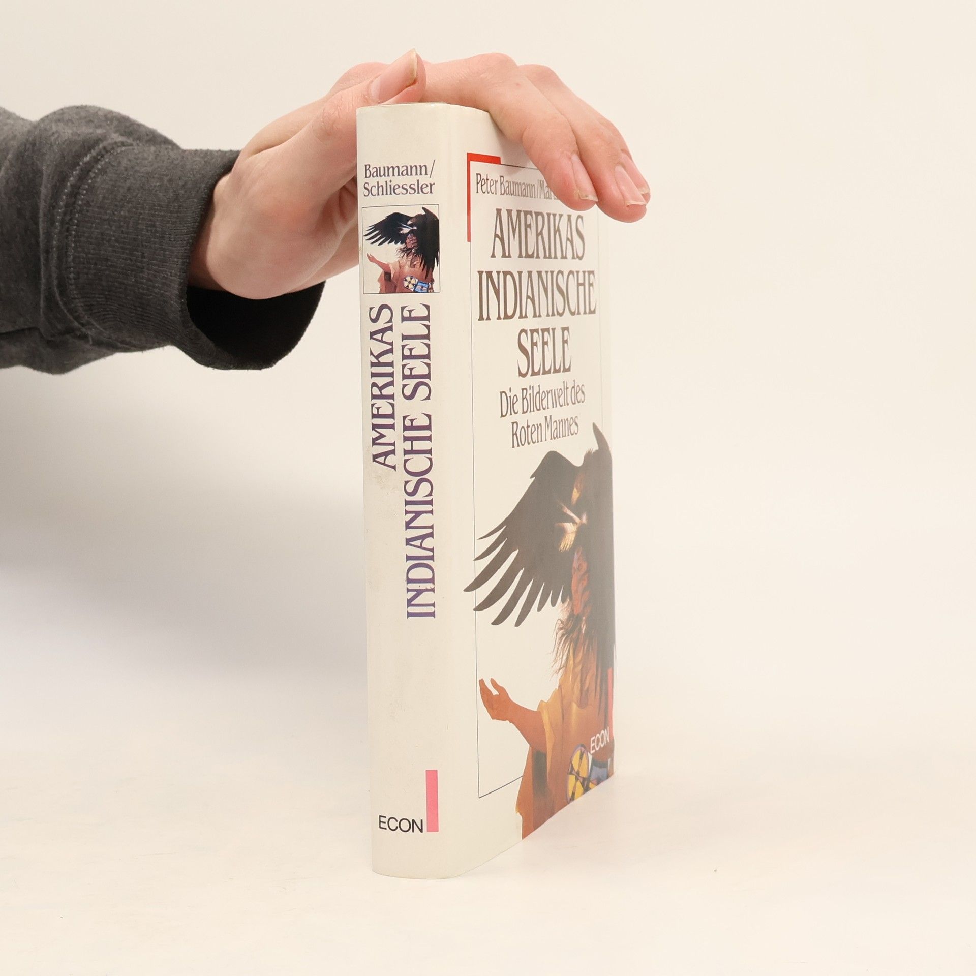 Amerikas indianische Seele